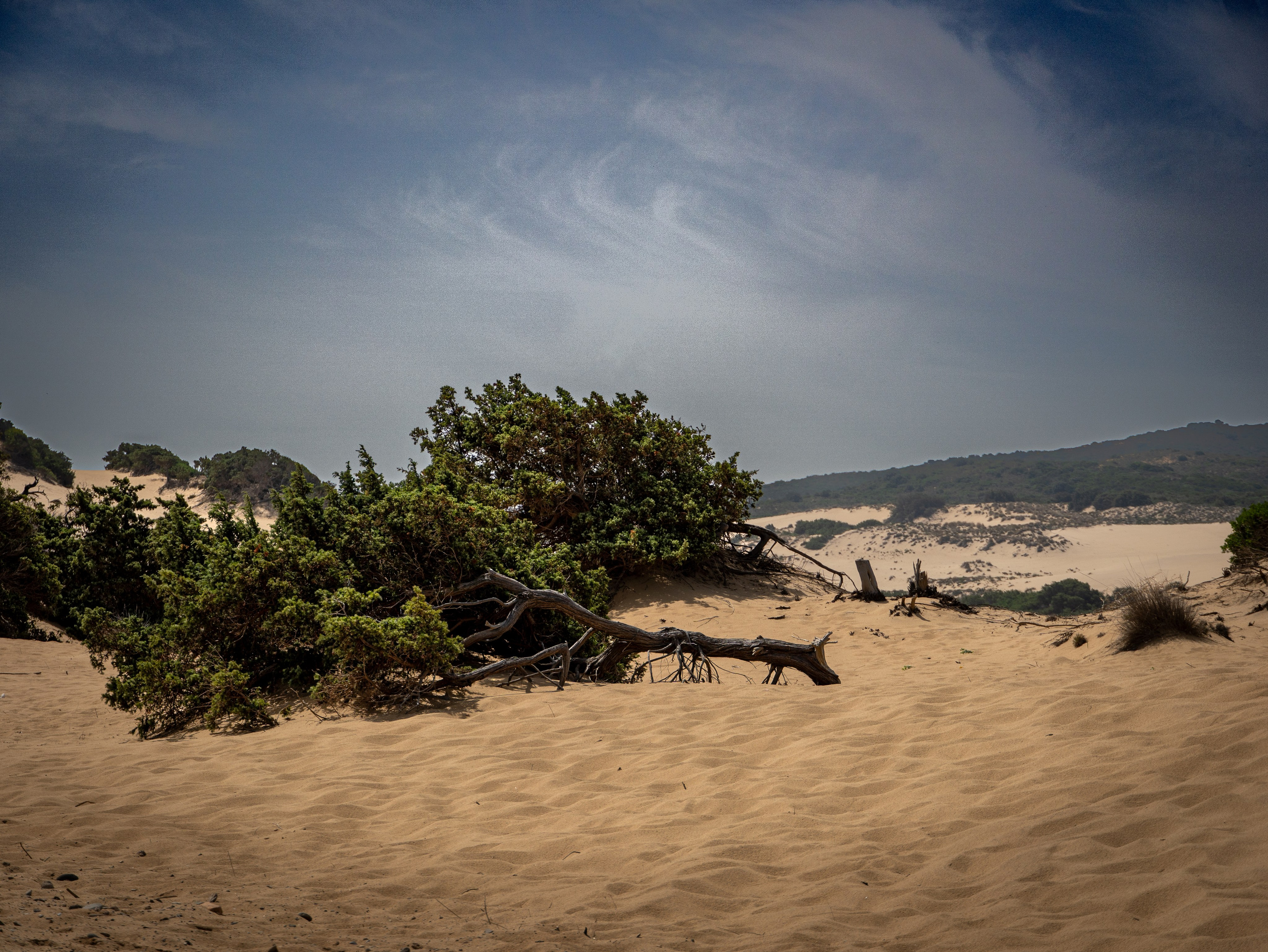 Paesaggi. Olga Manukhina fotografo in Sardegna