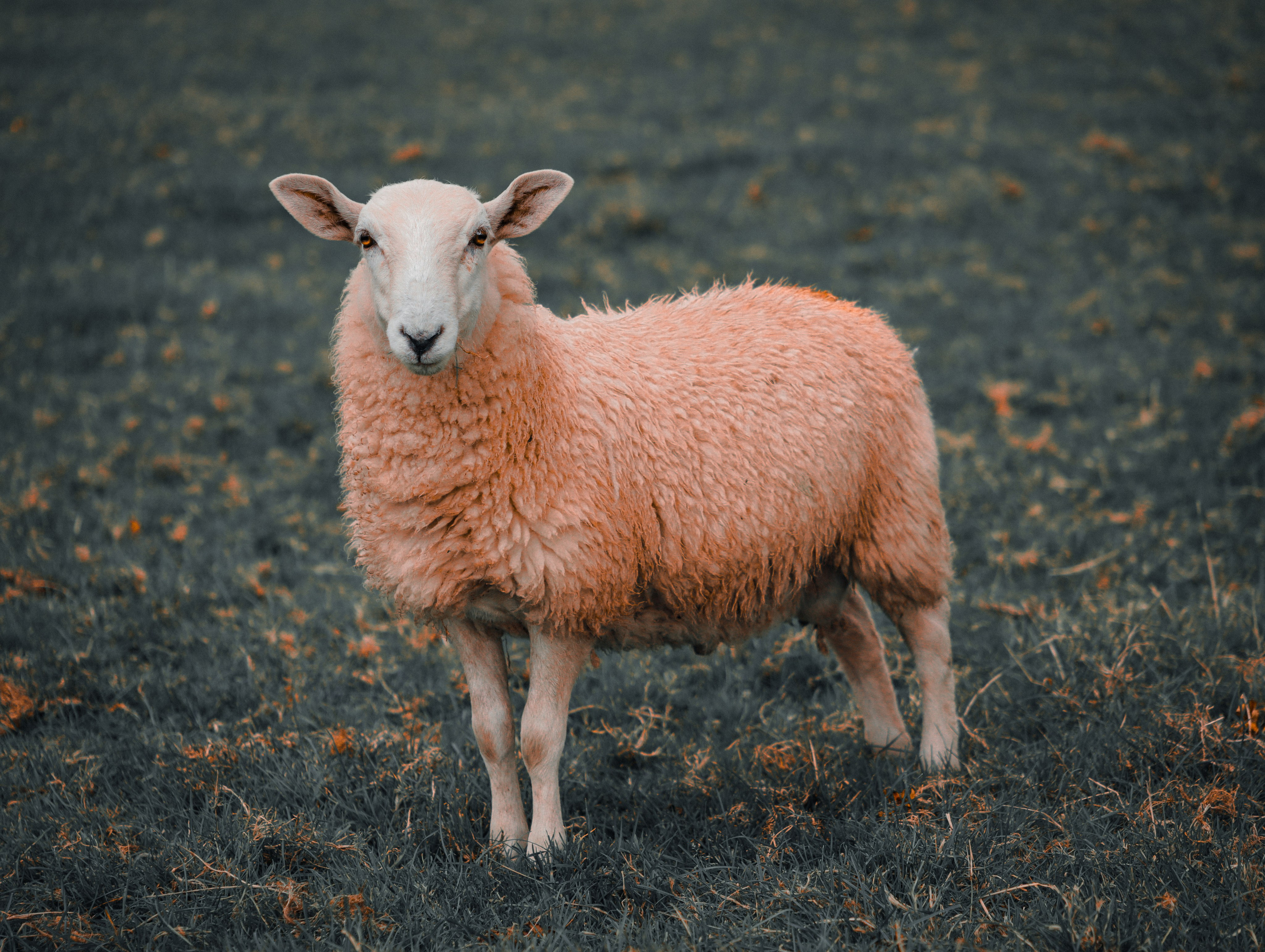 Film. Lifestyle & Documentary Photography in Bristol, Bath & London — def0cused