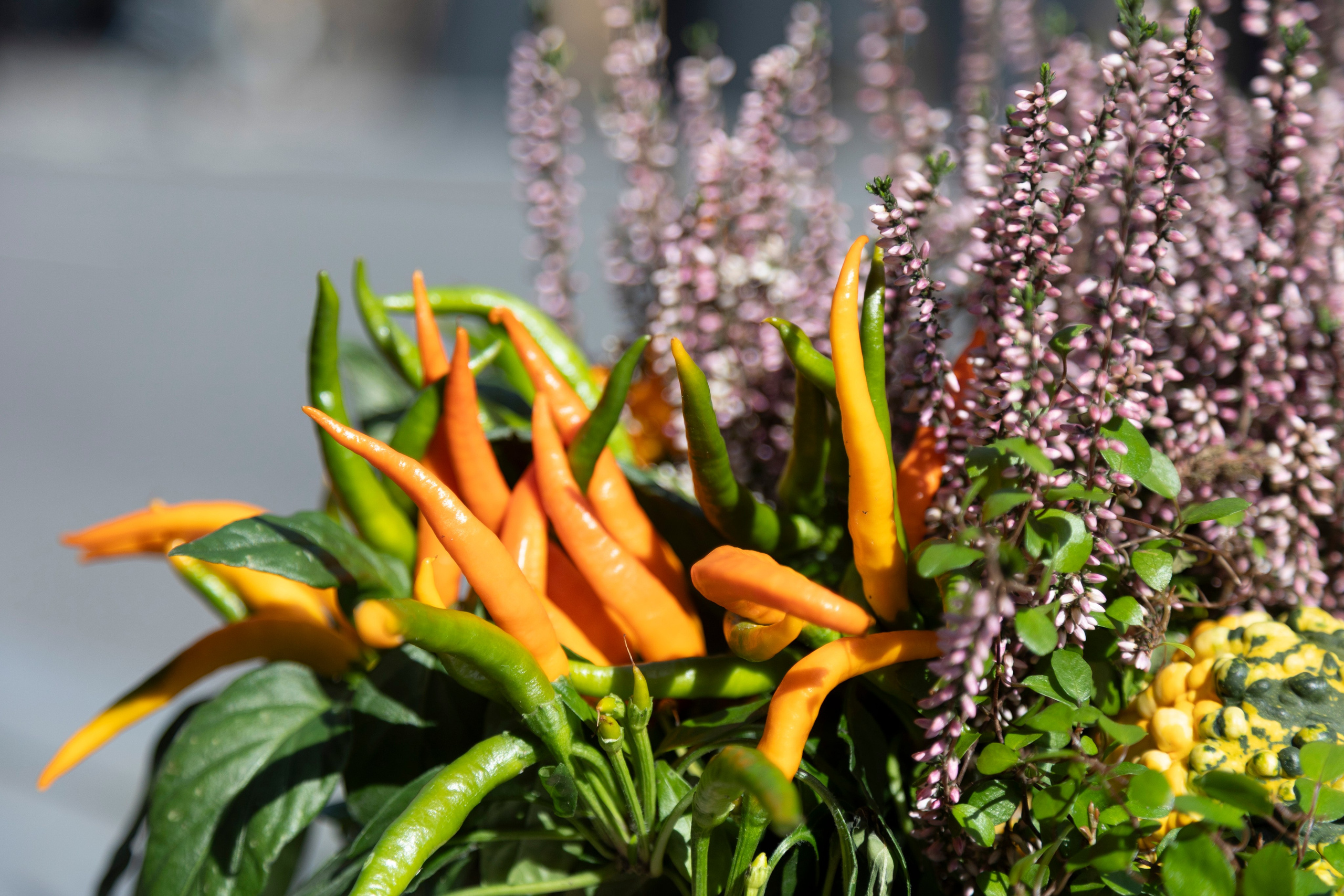 Gavekurve i Aarhus. Akropolis Blomster | Din døgn blomsterbutik i Aarhus