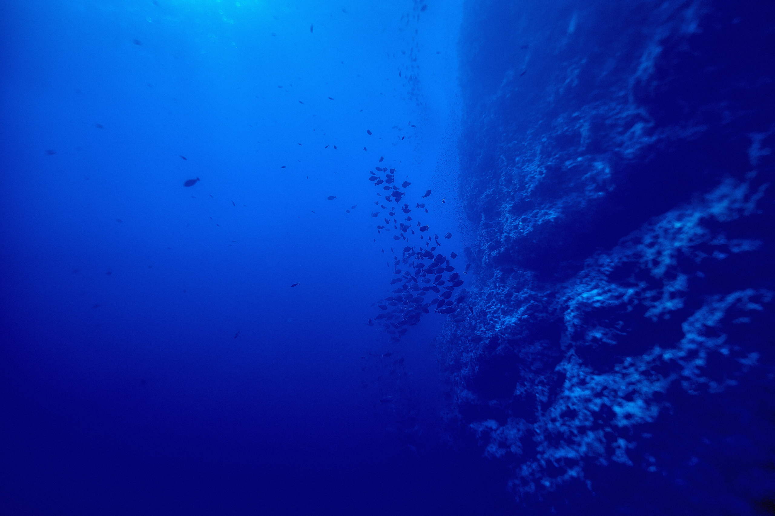 Podwodny fotograf - Andriej Szypilow - underwater photography. Tajemnica - wielka, głęboka i wszechobecna - to jest ta jakość, której przede wszystkim szukam w fotografii podwodnej...