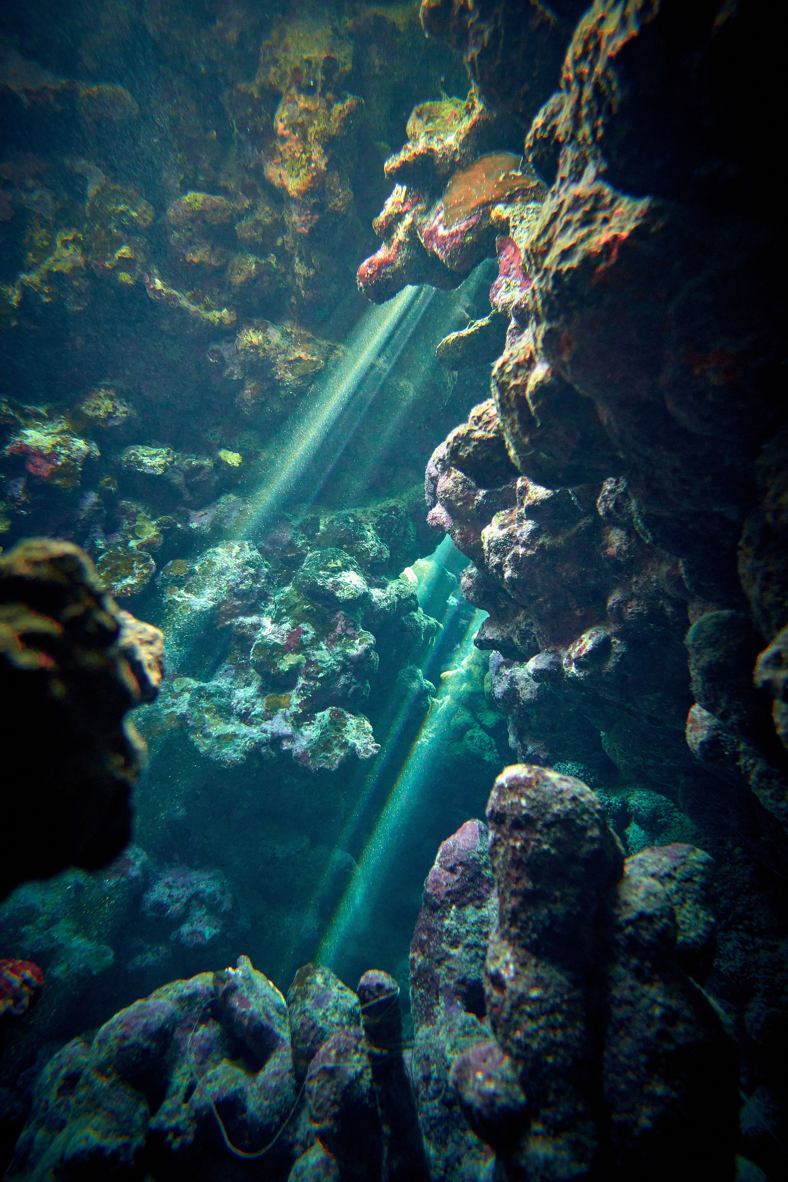 Podwodny fotograf - Andriej Szypilow - underwater photography. Tajemnica - wielka, głęboka i wszechobecna - to jest ta jakość, której przede wszystkim szukam w fotografii podwodnej...