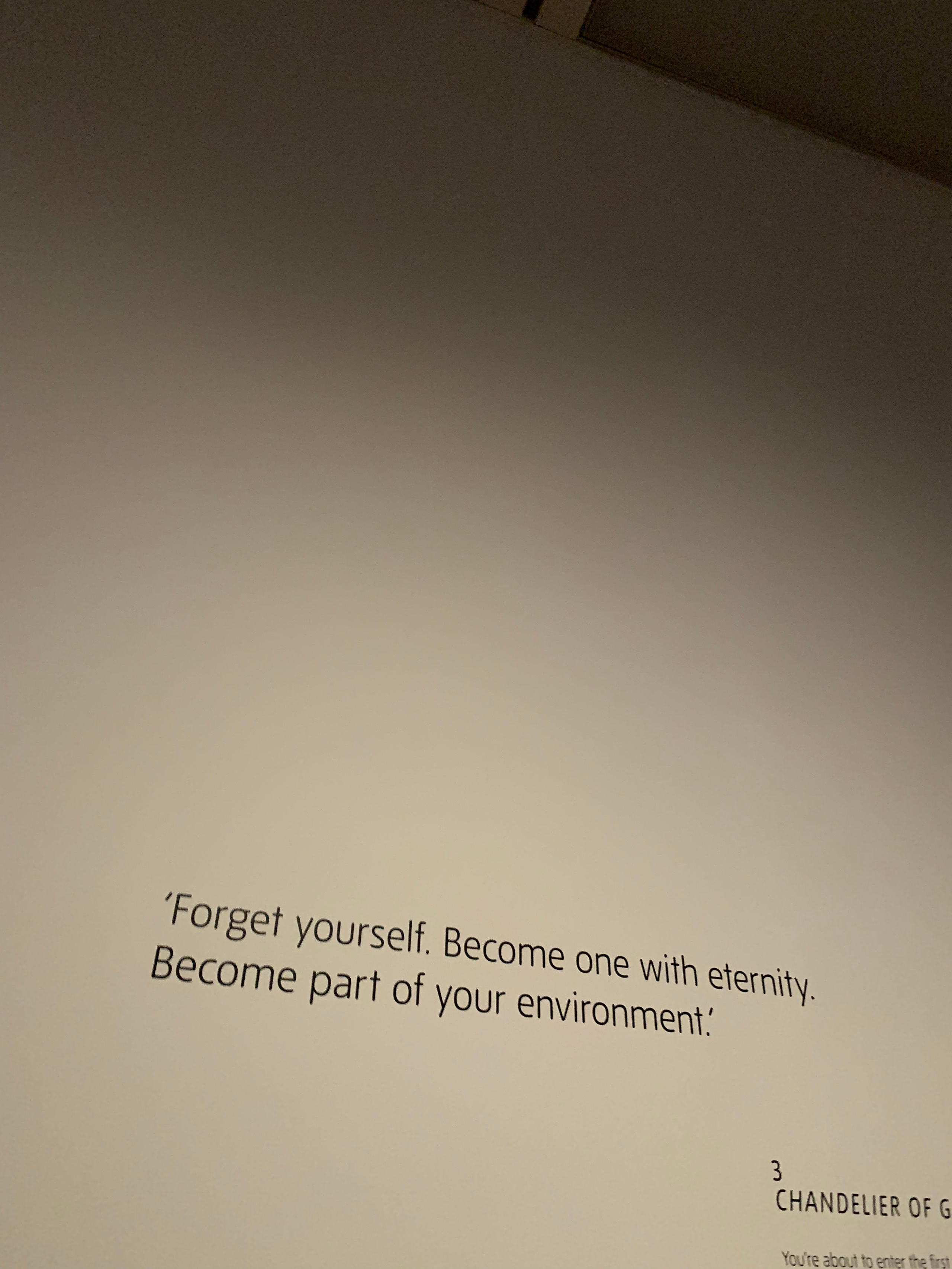 Про Кусаму в Tate Modern. Виктория Дини. Арт-фотография