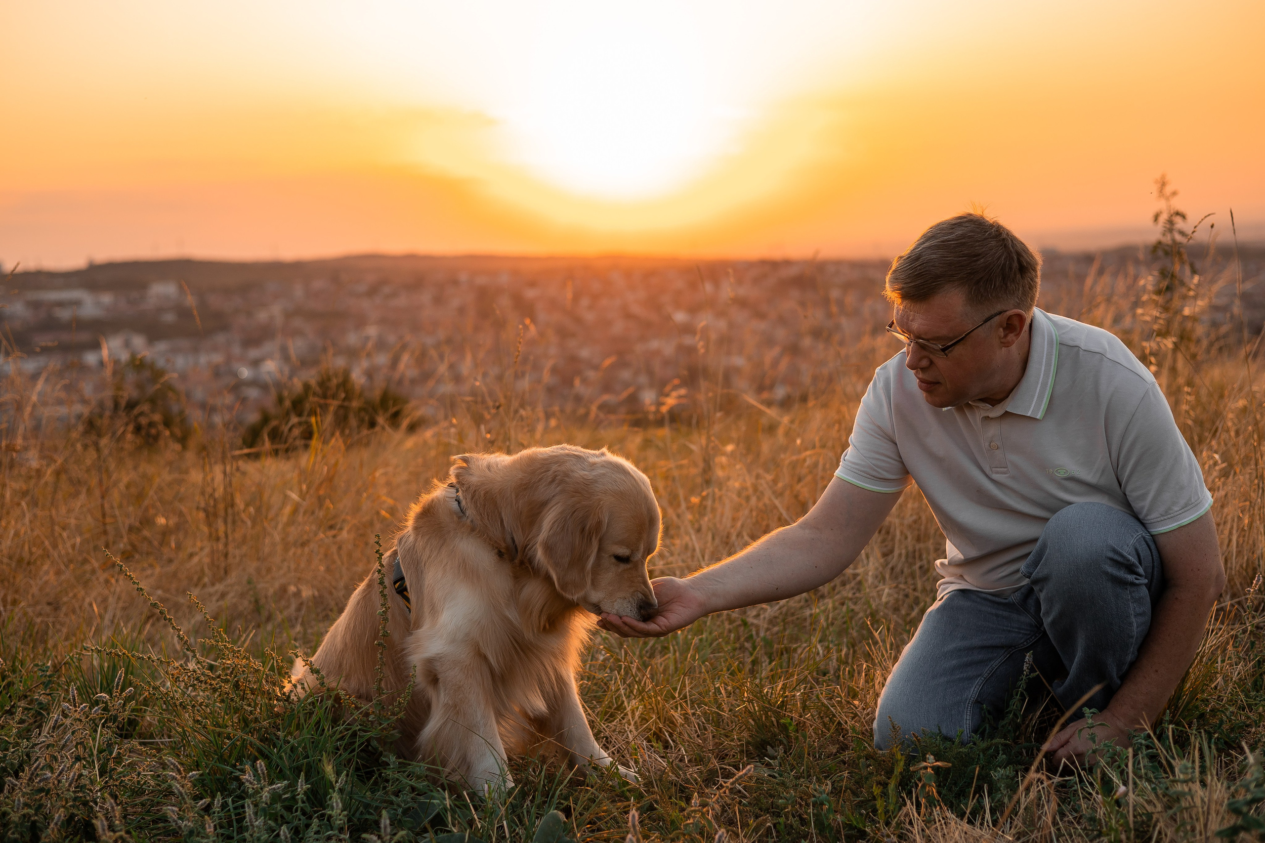 Фотограф-анималист | Белград