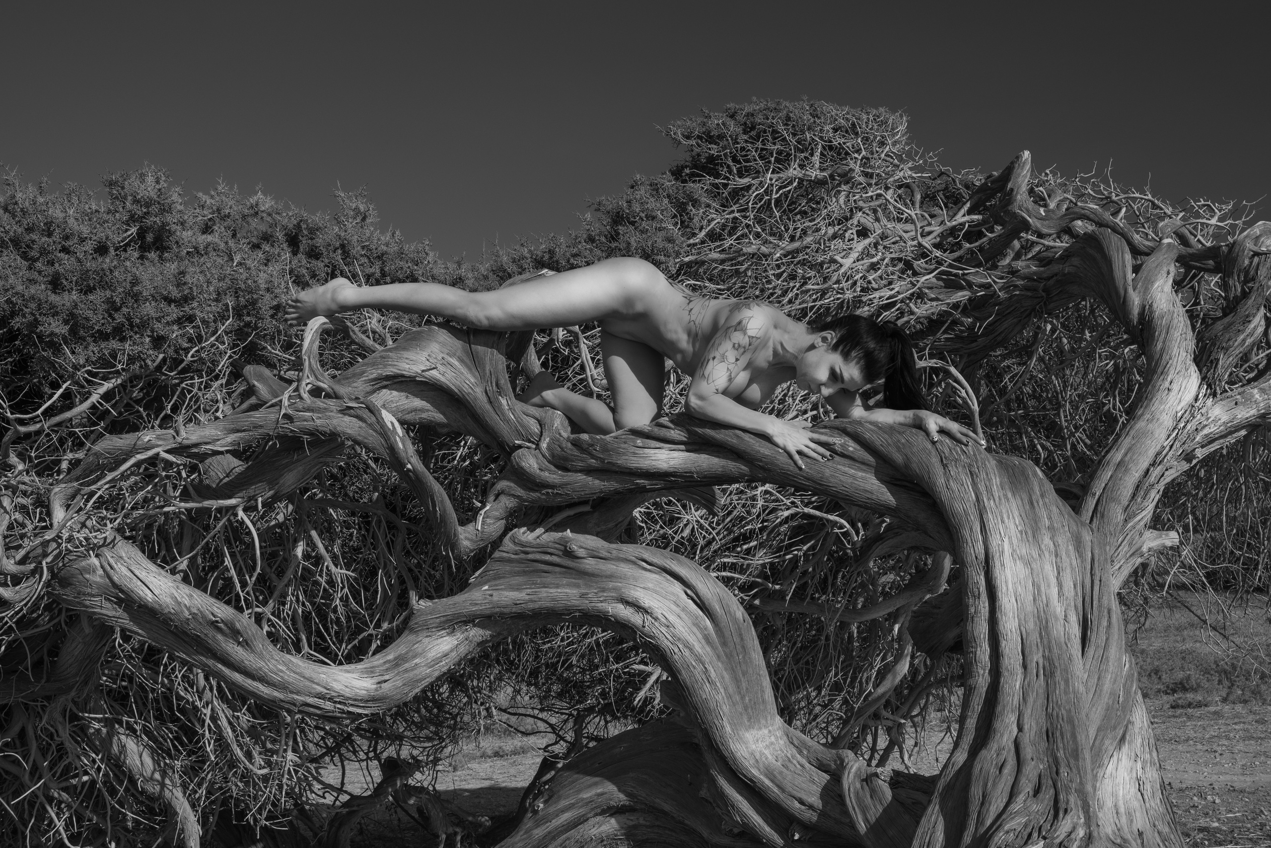 Stories. Photographer in Cyprus Lena Kirilishina