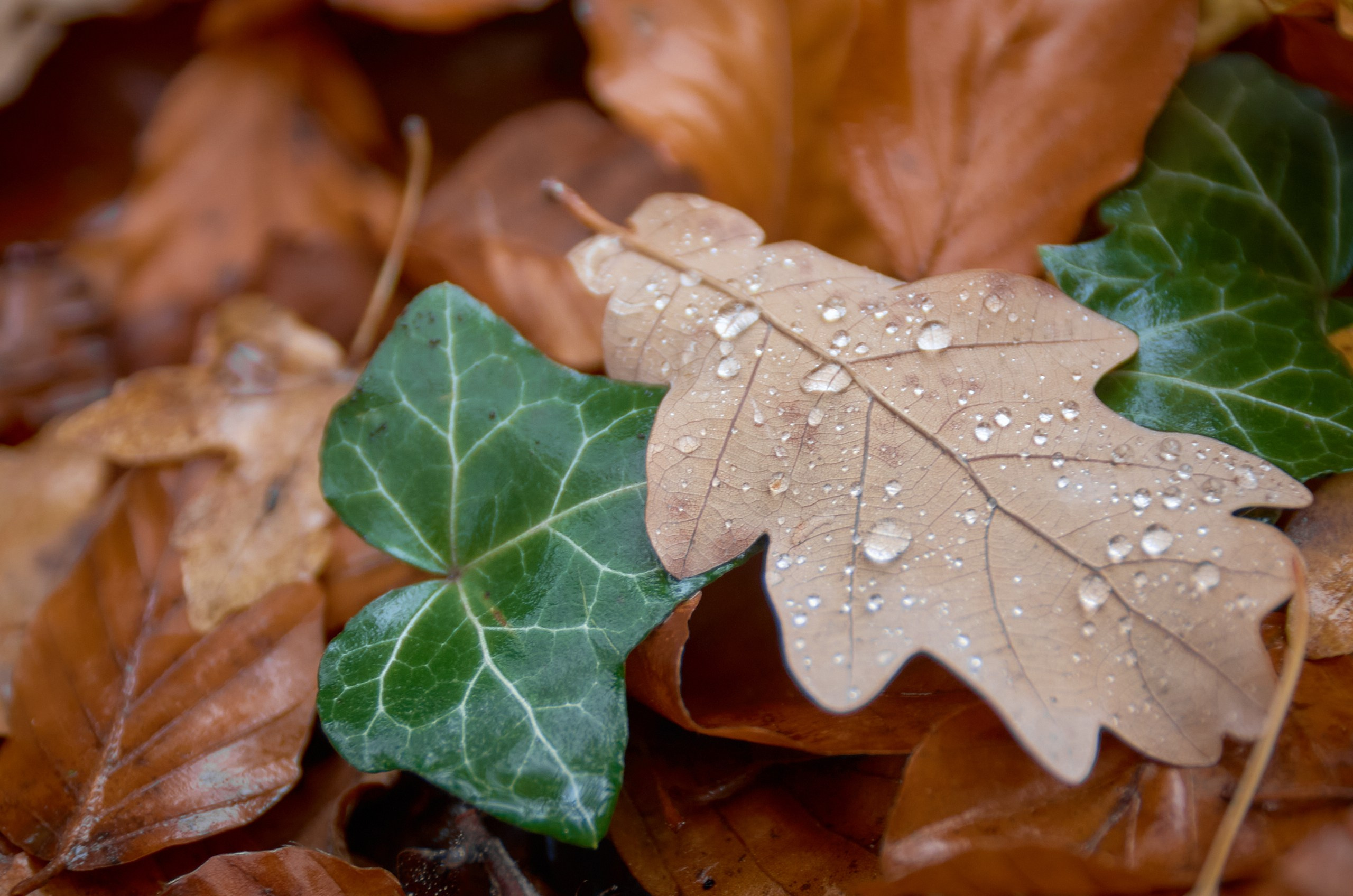 Yuri Popkov | Photographer