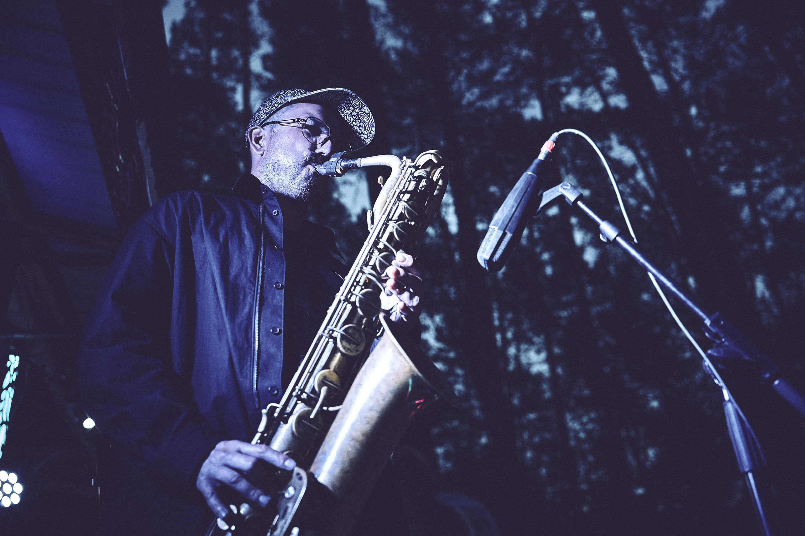 Organic-2025. Andriej Szypilow — Photography & Videography