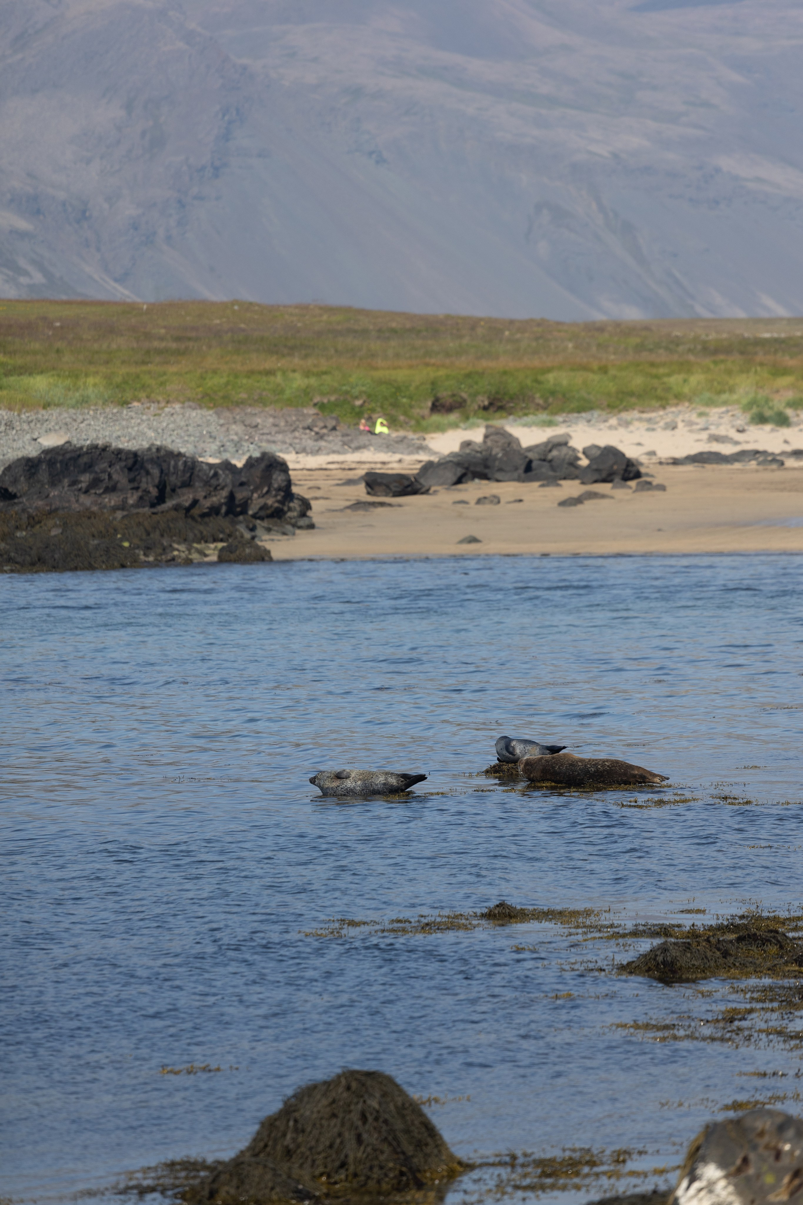 Mon voyage photo en Islande. Eugénie Smirnova — Photographe à Toulouse et dans le Sud-Ouest