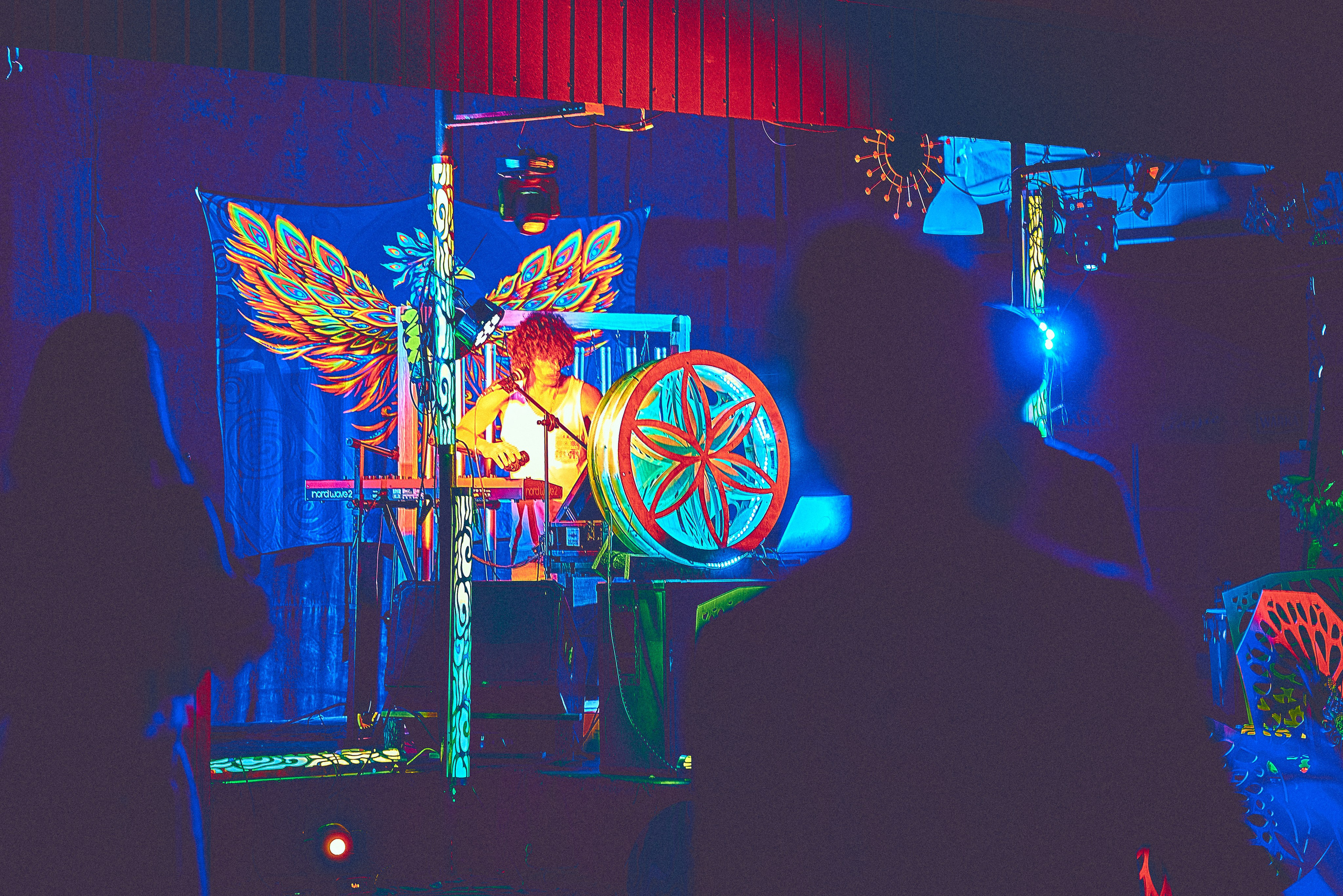 Organic-2025. Andriej Szypilow — Photography & Videography