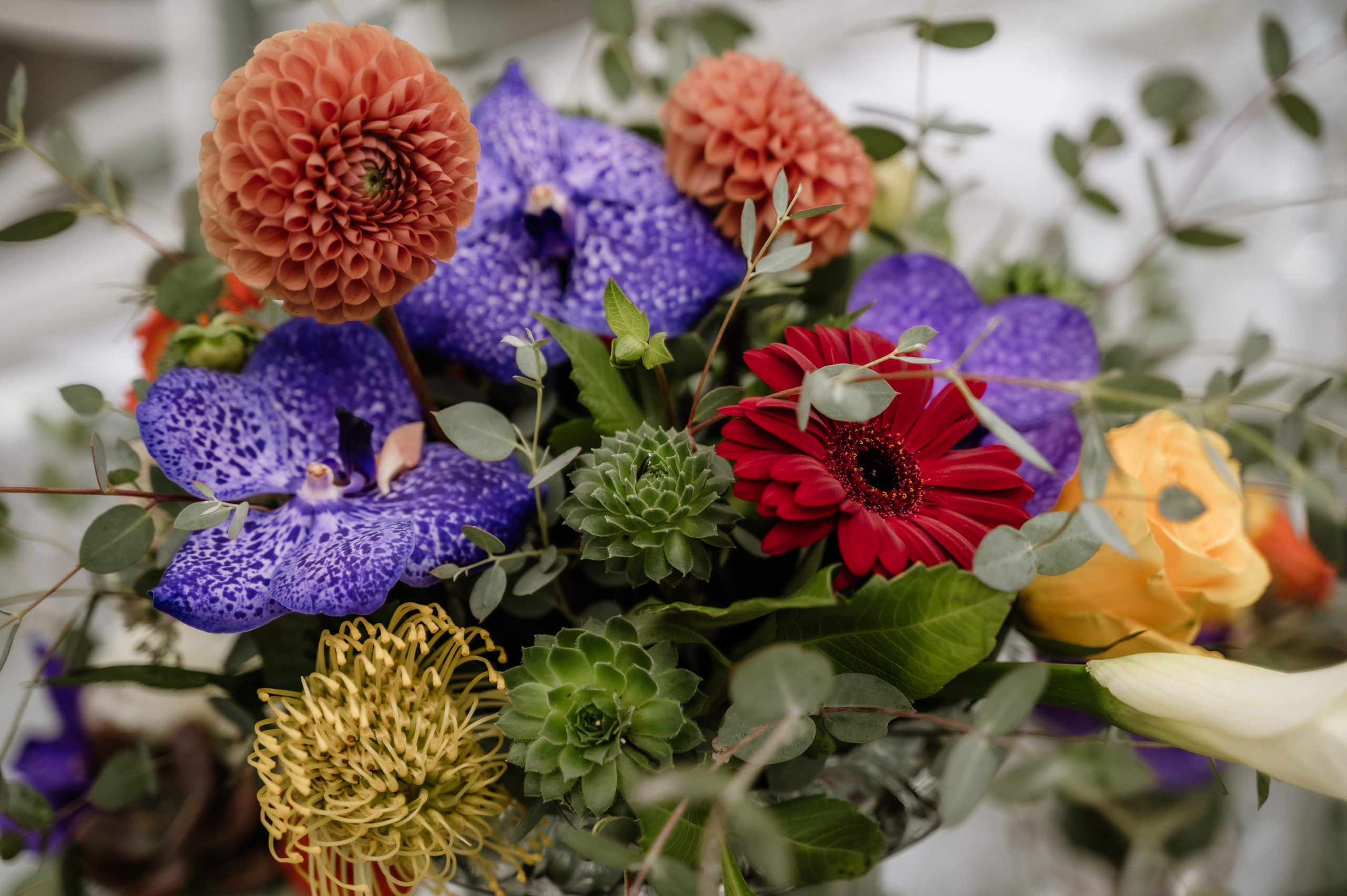 Fotografisanje vencanja. Bojana Žuža fotograf u Beogradu 📷 Belgrade photographer