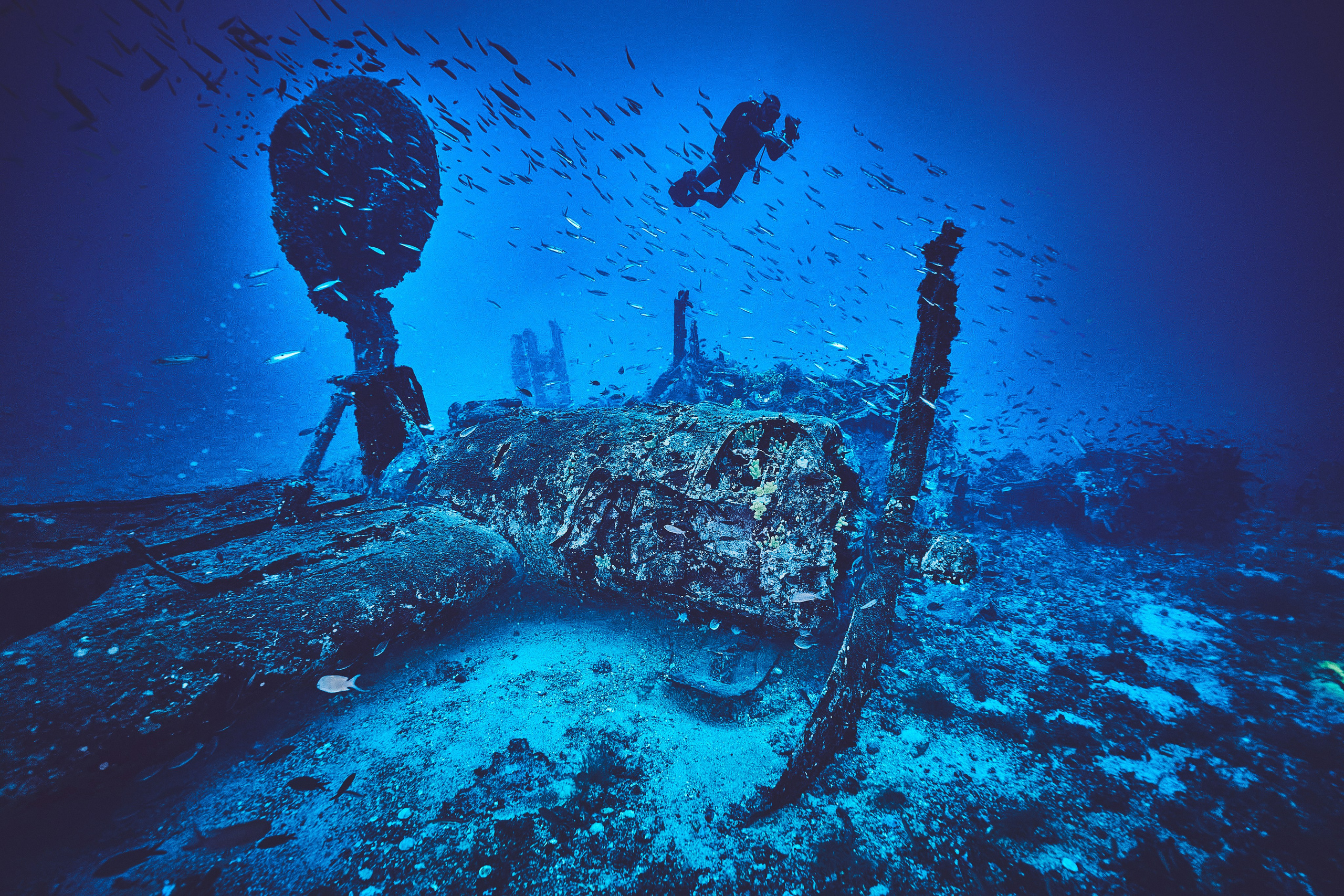 Wrak samolotu B-24 Liberator. Andriej Szypilow — Photography & Videography