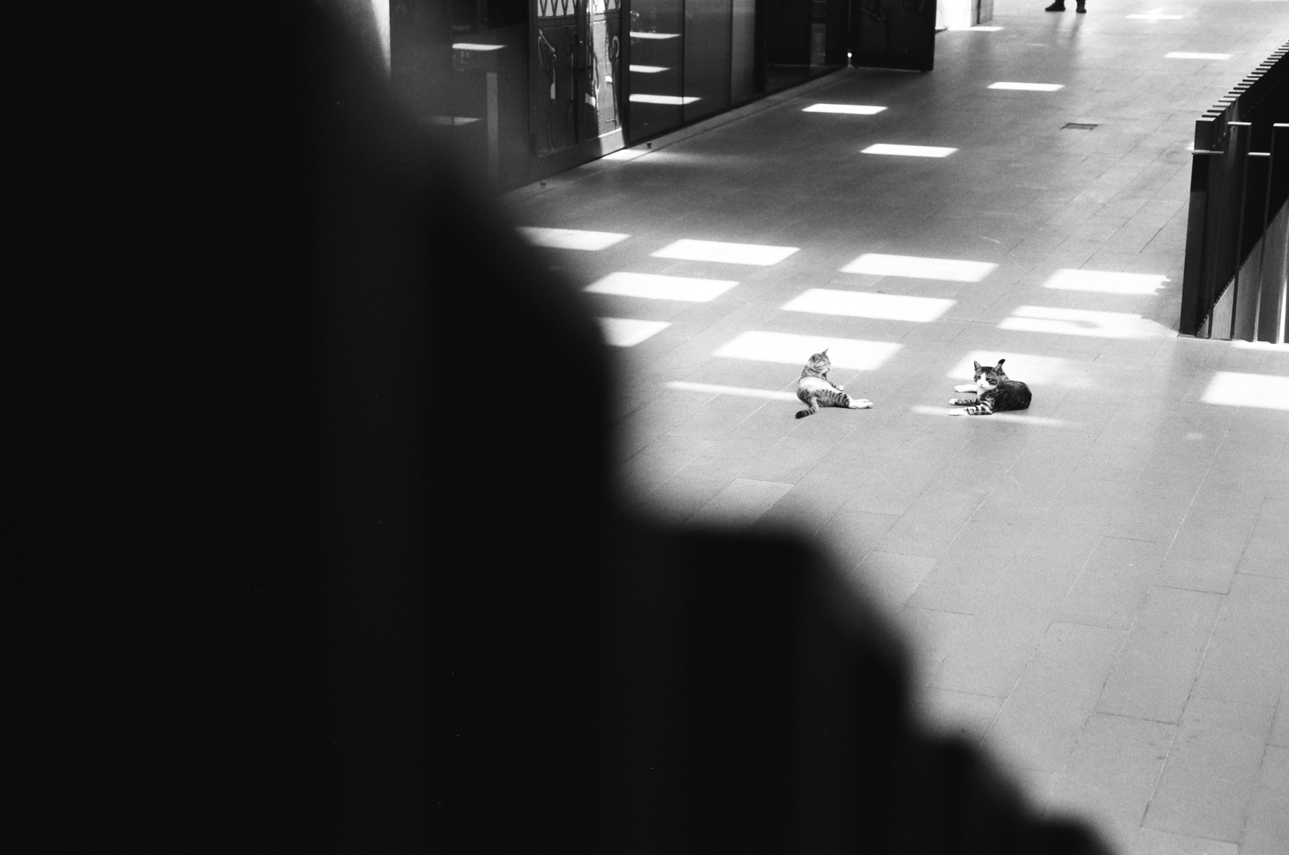 Istanbul - eine Stadt, die jenseits der Zeit lebt