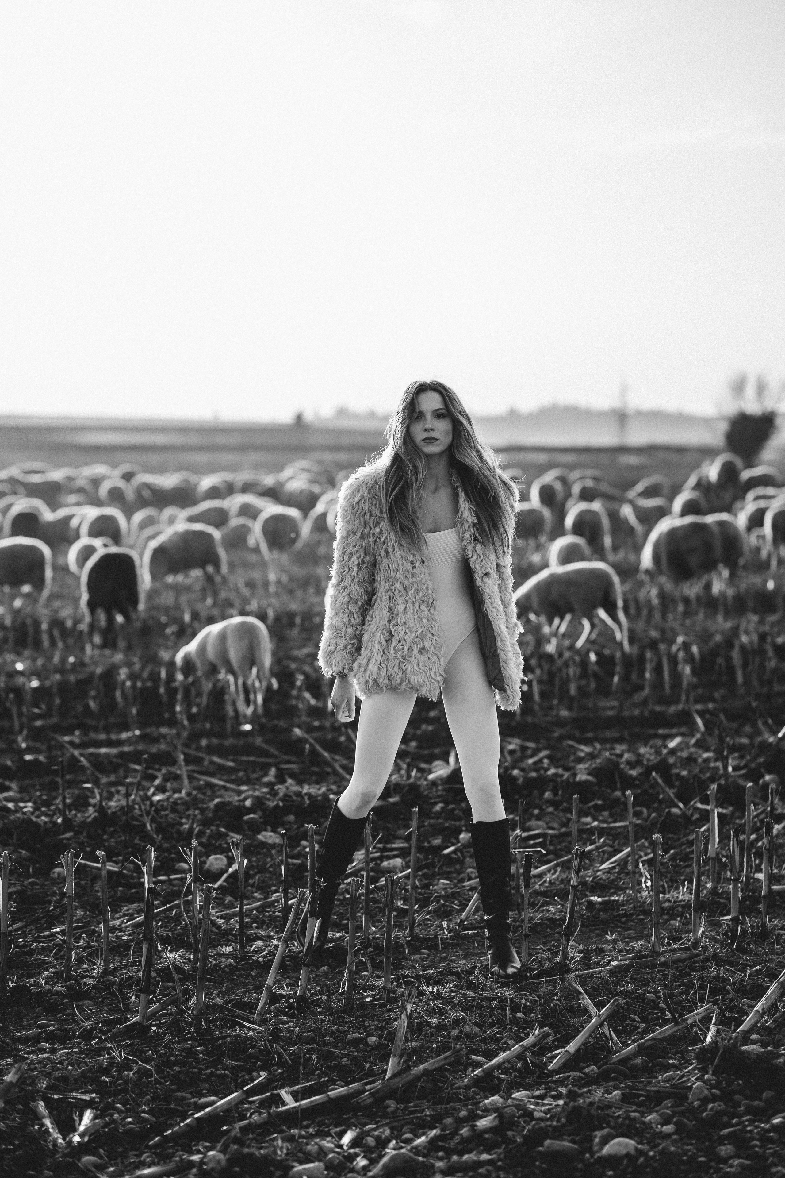A thousand sheeps. Diana Fedrigo | Fotografa matrimoni in Italia
