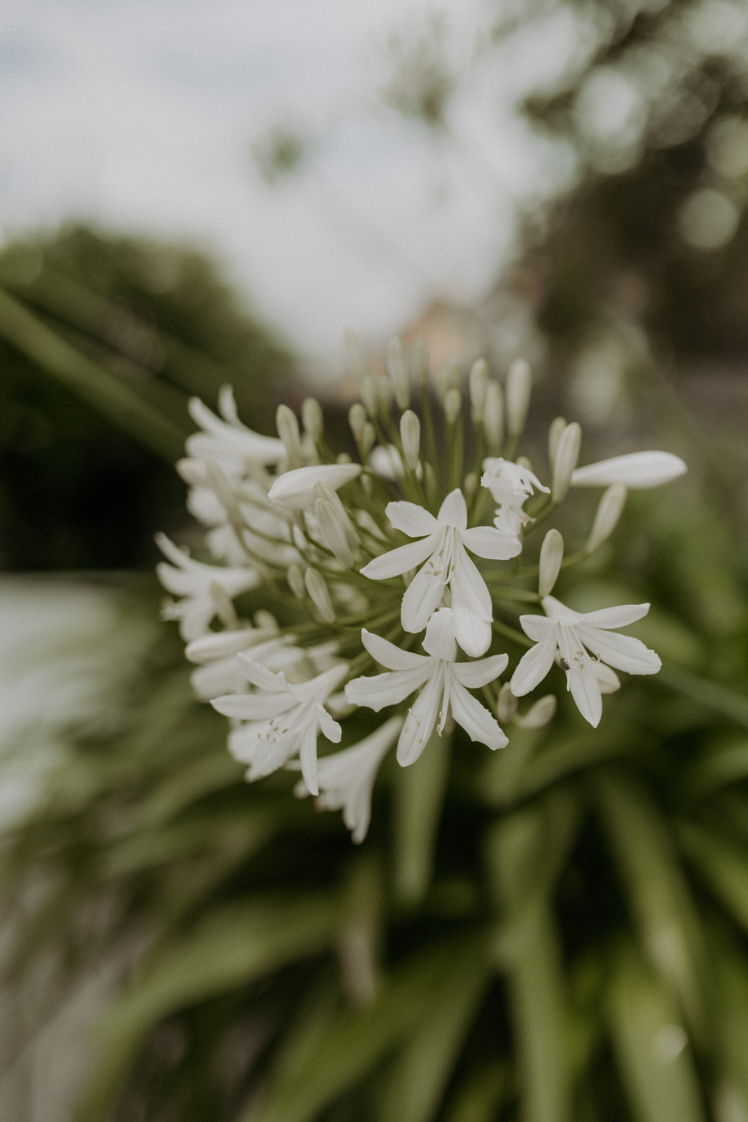 Romantische Hochzeit in Schloss Weikersheim | Julia & Dominik. Anna Saribekyan – Beste Hochzeitsfotografin in Würzburg, Top 10 in Deutschland