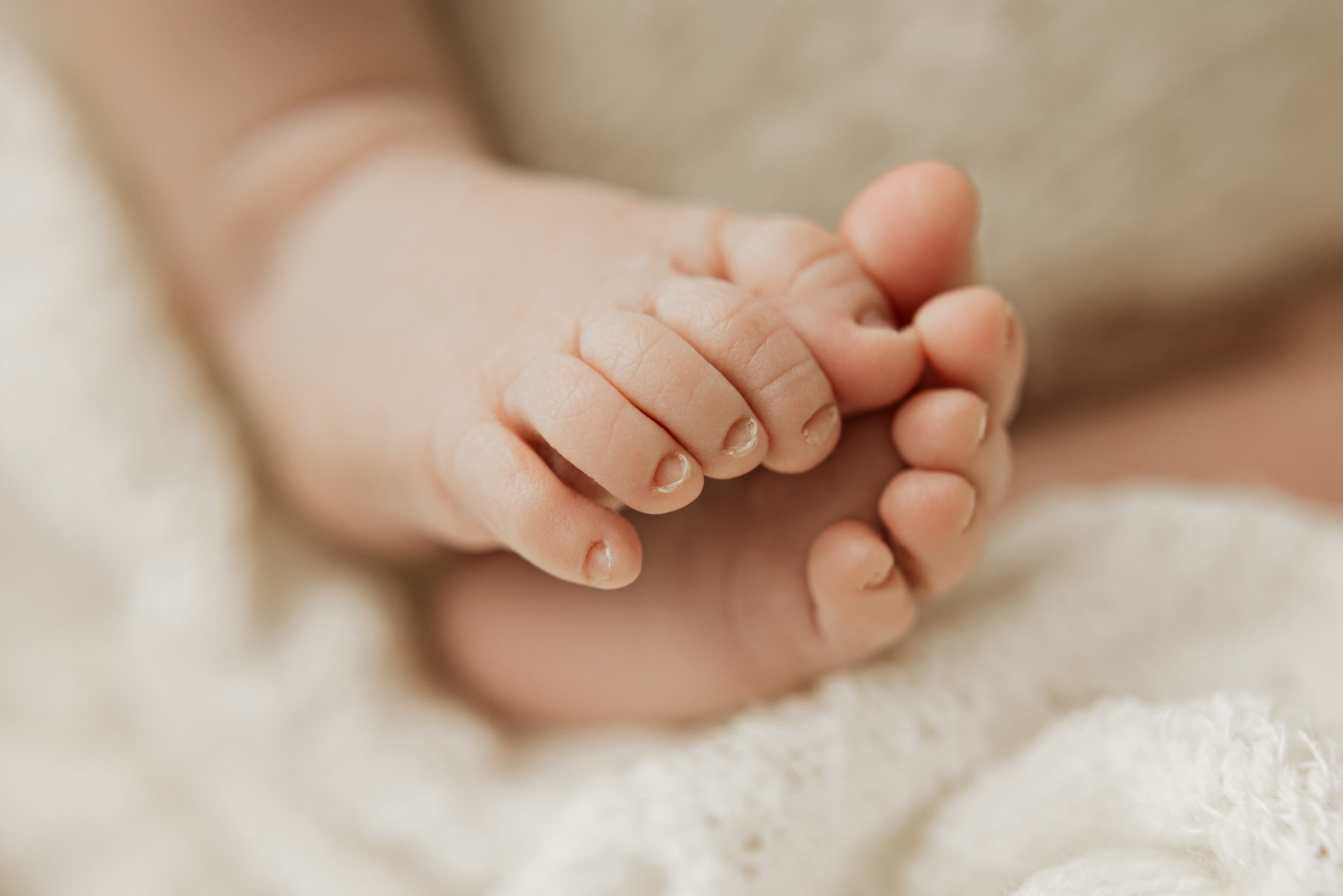 Newborn. Anna Levina Photography