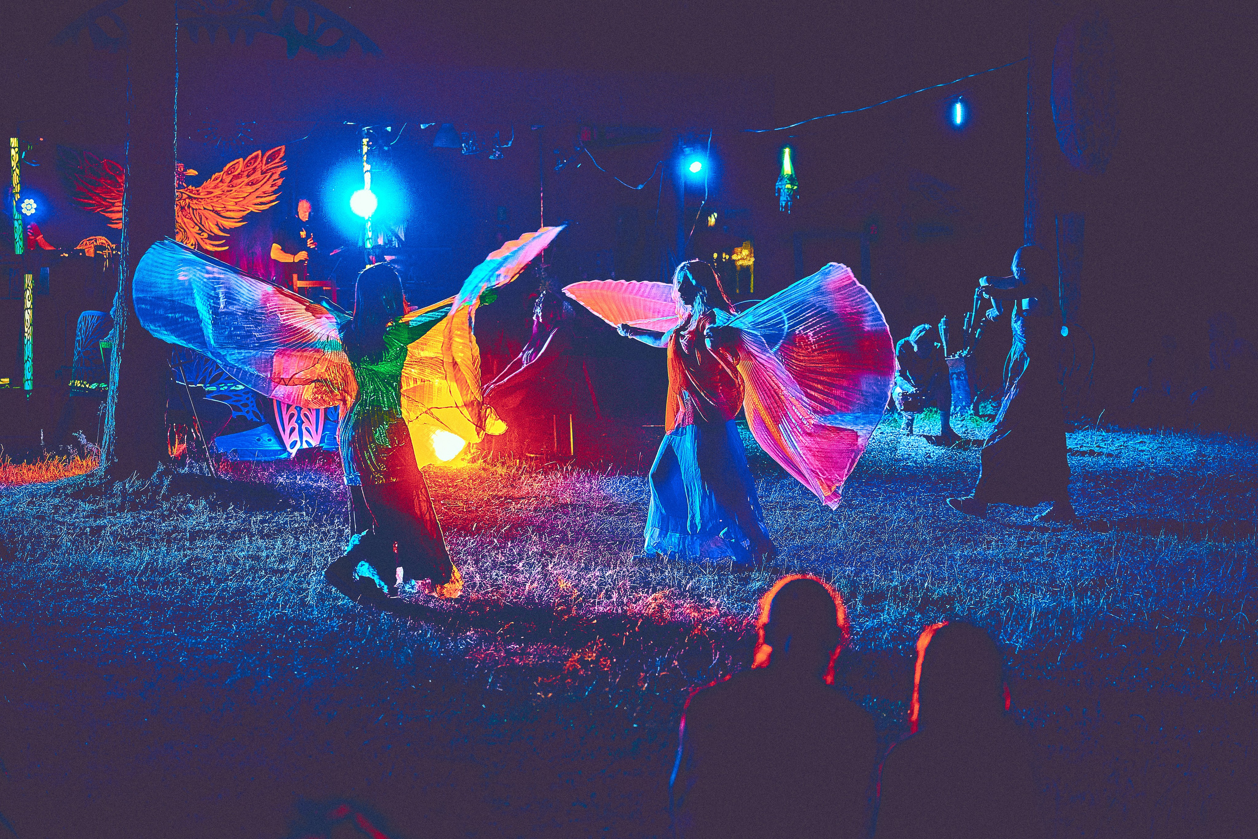 Organic-2025. Andriej Szypilow — Photography & Videography