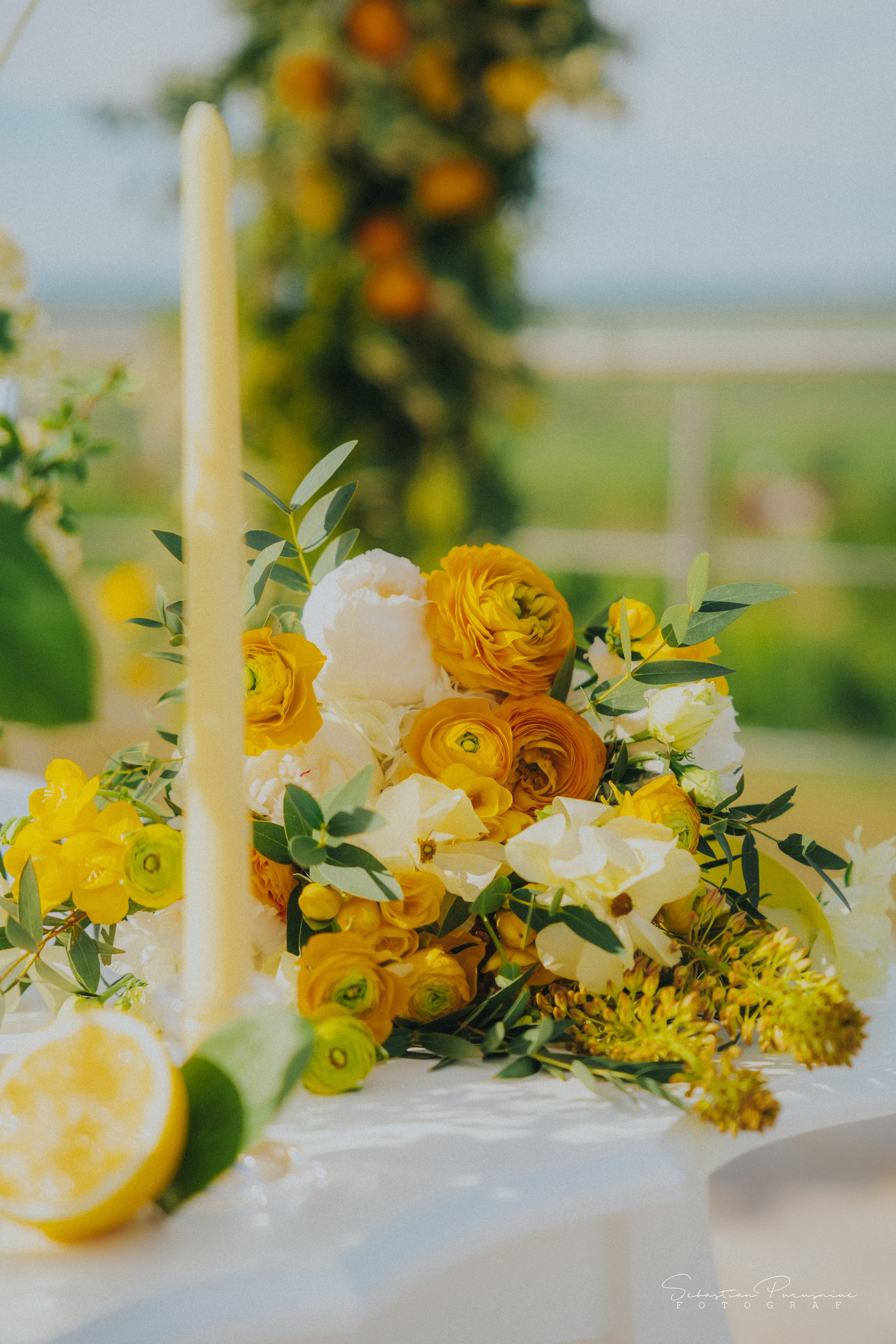 Love & Lemons. Sebastian Purusniuc Fotograf - Iasi