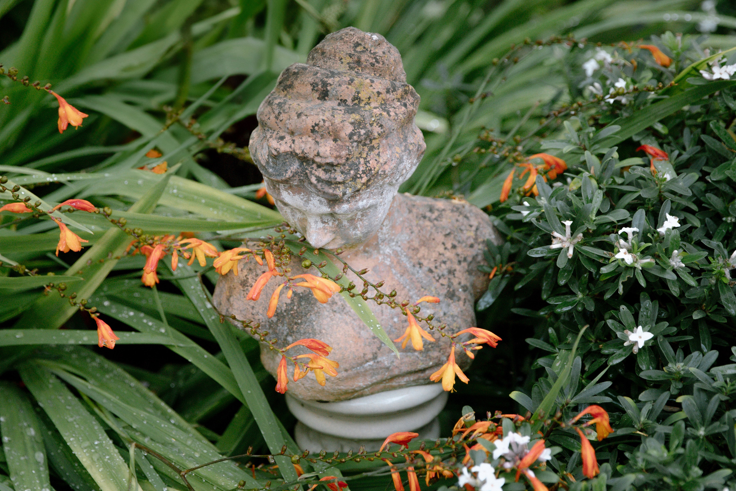 Intimate and emotional wedding. Timeless Wedding & Event Photography — based London, working across Europe