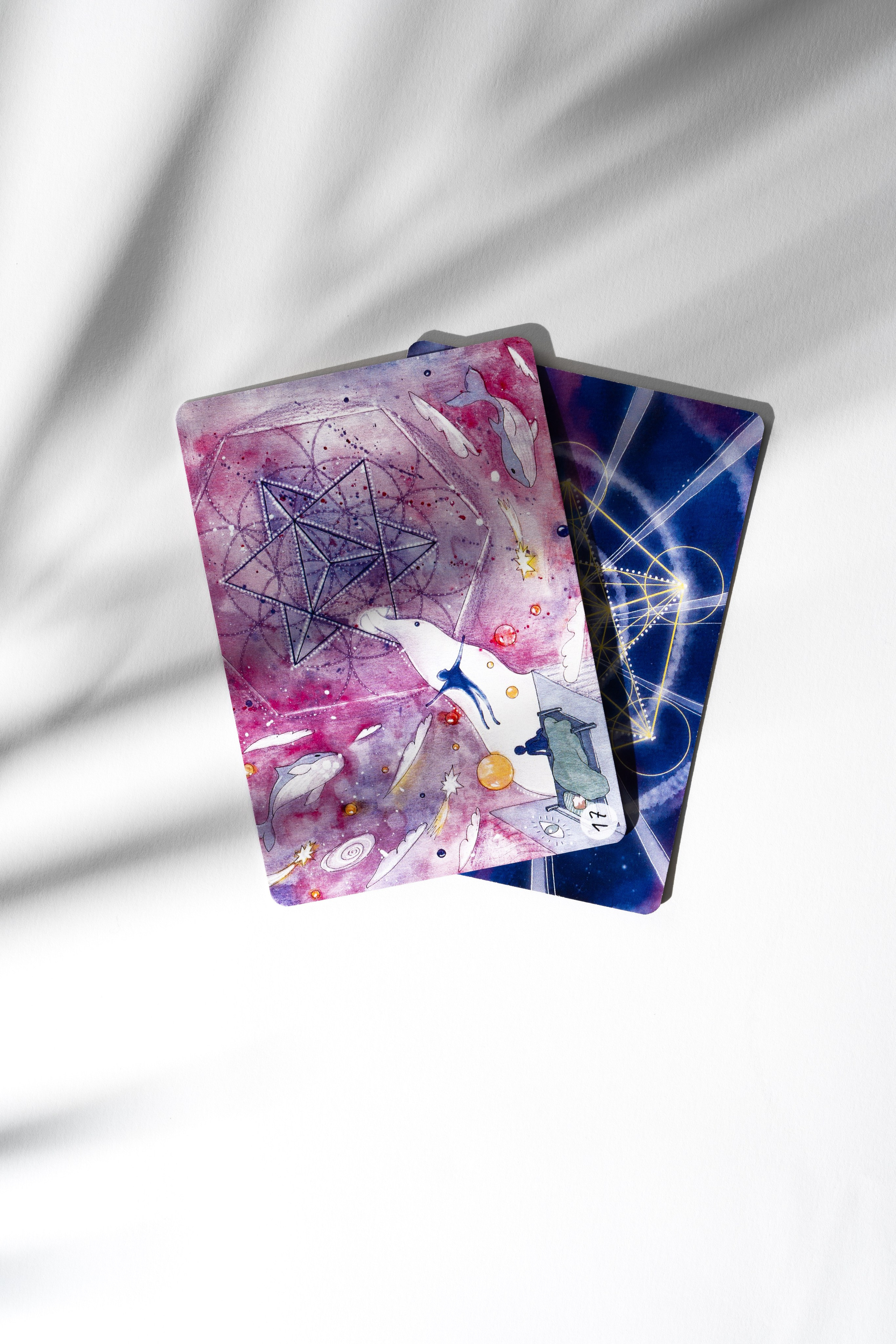 Fotografía de Contenido