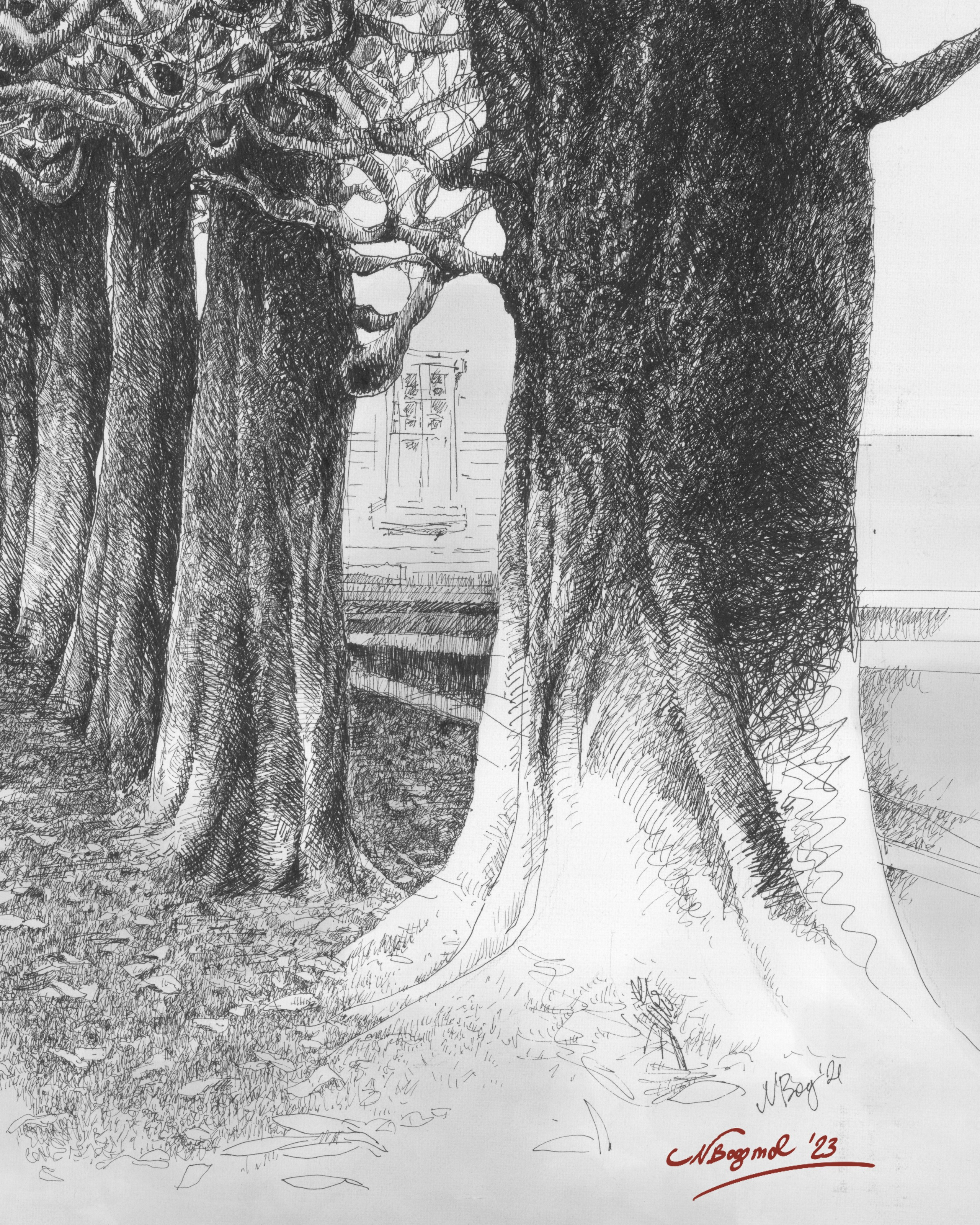 Director, Photographer and Artist in Valencia Natasha Bogomolova