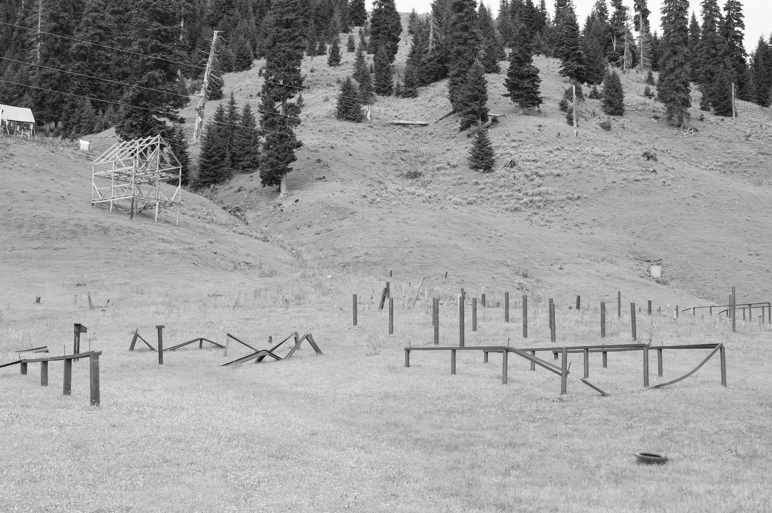 Under the Phasis' Sun. Mayya Kelova artist