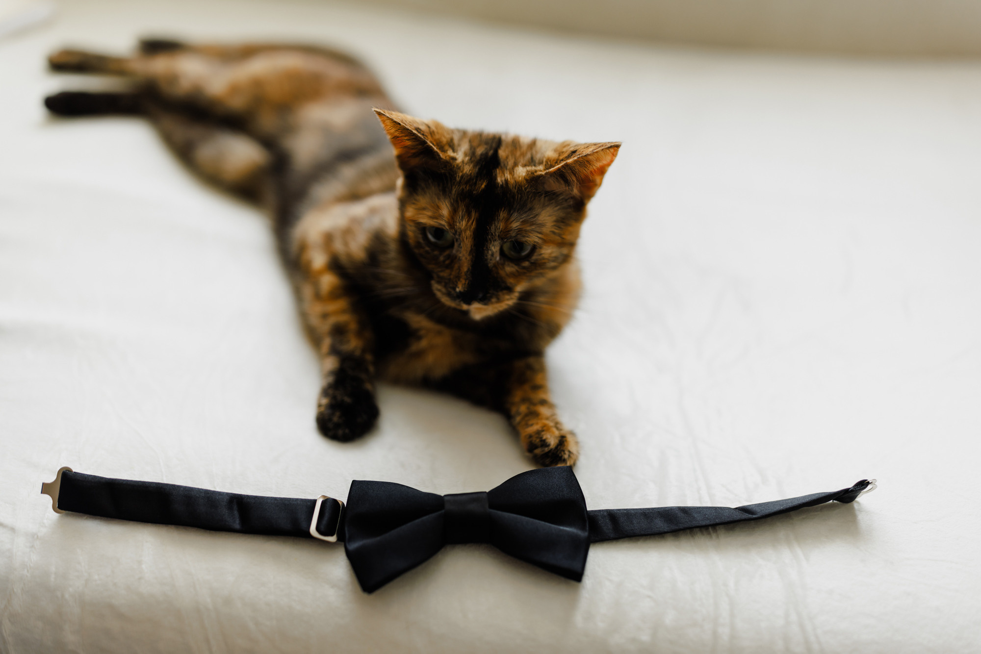 Radu si Andrea. Fotograf și videograf de nuntă R. Moldova, Romania