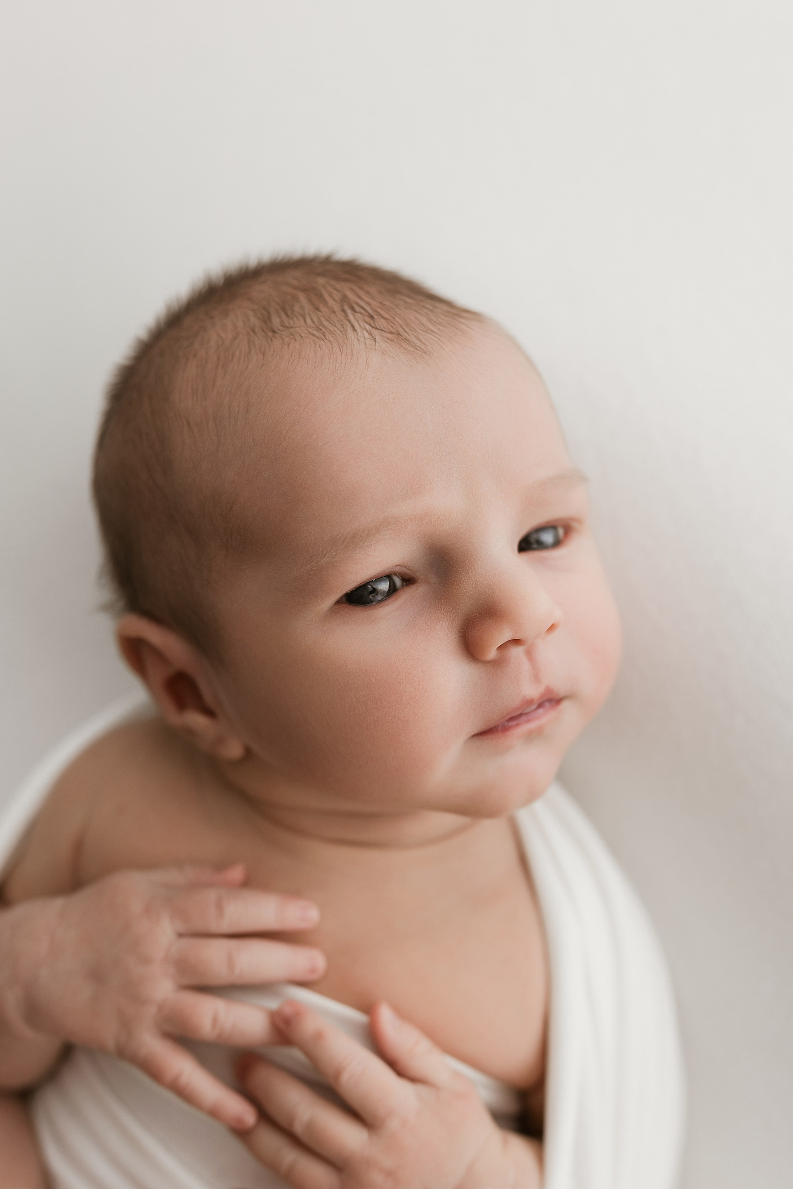 Newborn. Anna Levina Photography