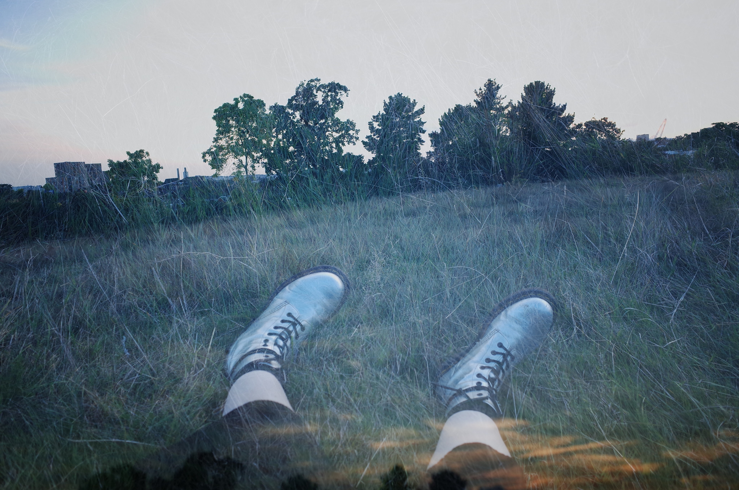 Гербарий. Виктория Дини. Арт-фотография