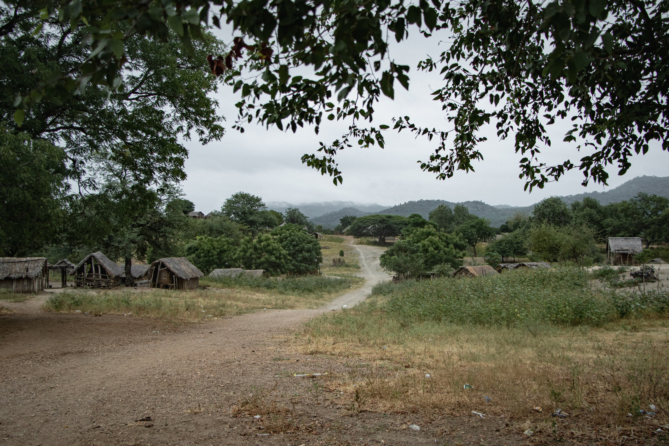 Ce village paisible, en bordure du Zambèze, est aujourd’hui au cœur des inquiétudes liées au projet de méga barrage de Mphanda Nkuwa. Des milliers d’habitants vivent ici, sur des terres agricoles héritées de générations passées. Mais ce lien ancestral à la terre est désormais menacé : si le barrage voit le jour, une grande partie du territoire pourrait être submergée. Pour les habitants de Luzinga, l’avenir est incertain, entre enracinement profond et crainte d’un déracinement imposé.
