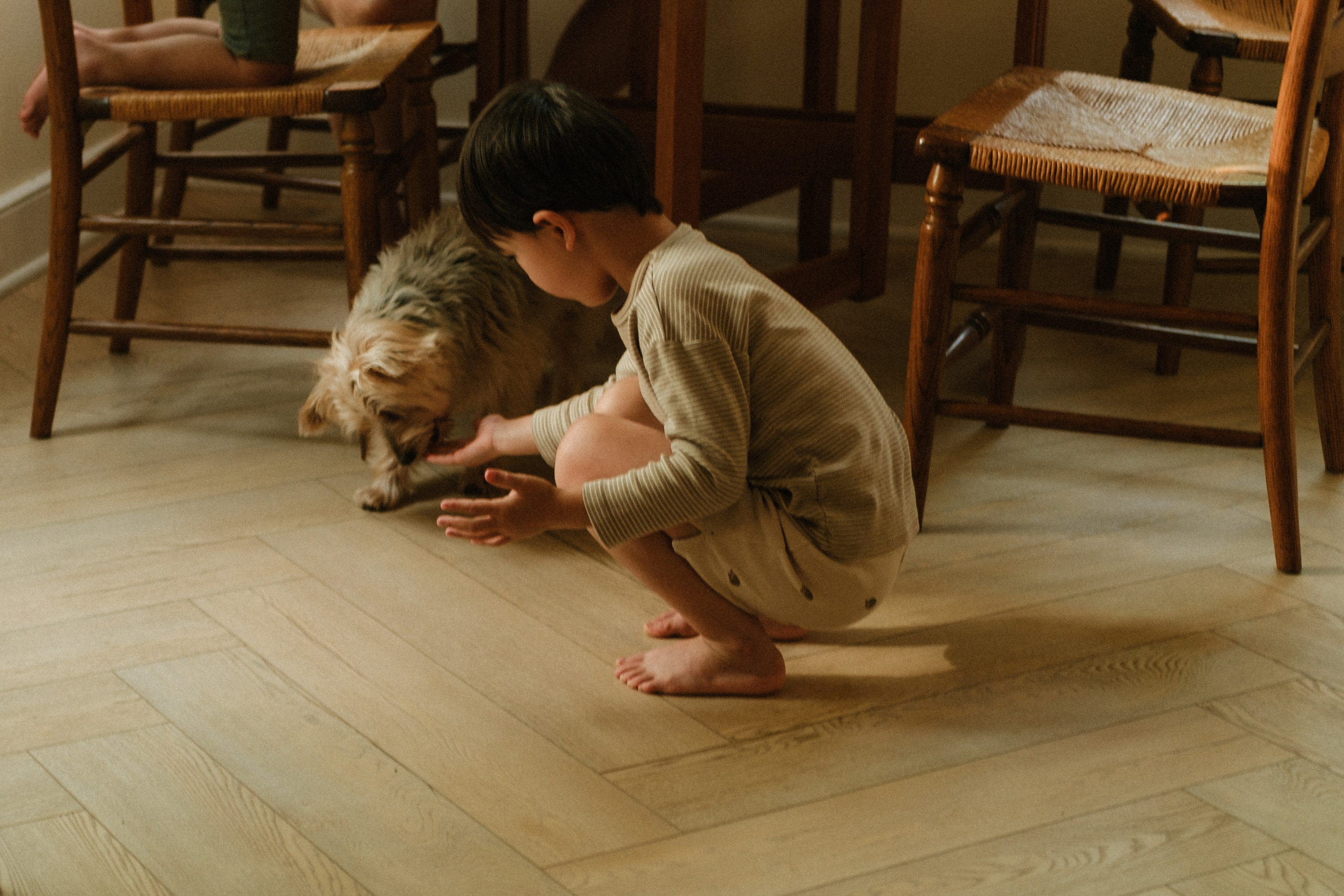 Boy is feeding his dog while a family session at their house in Richmond, VA