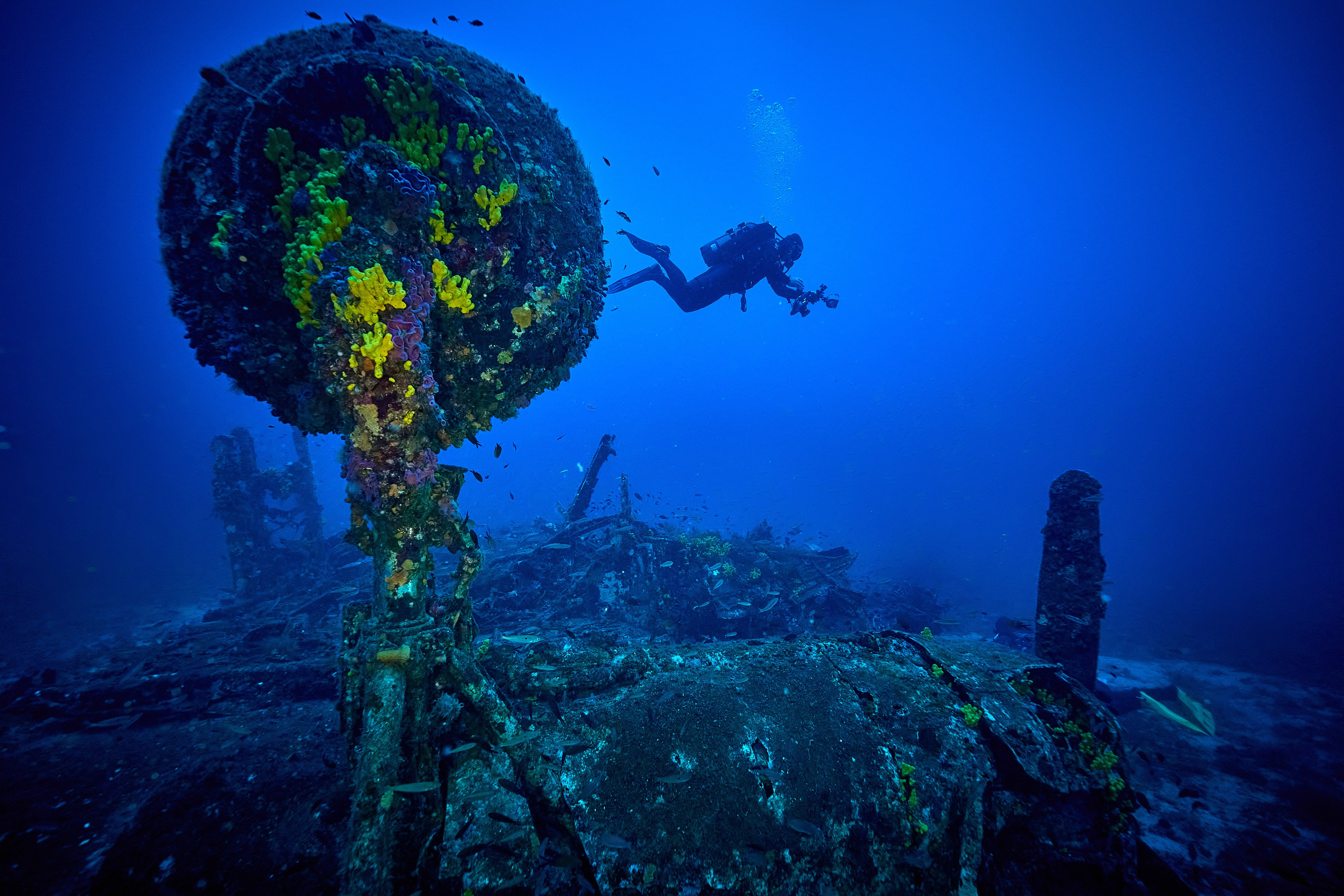 Wrak samolotu B-24 Liberator. Andriej Szypilow — Photography & Videography