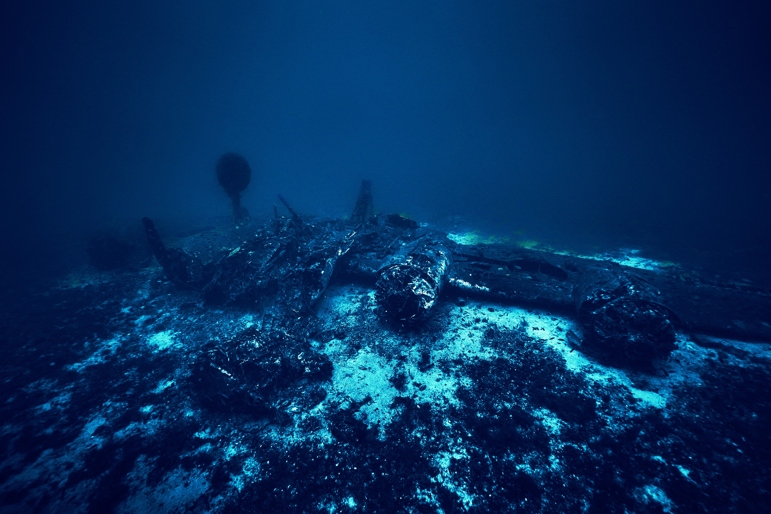 Wrak samolotu B-24 Liberator. Andriej Szypilow — Photography & Videography