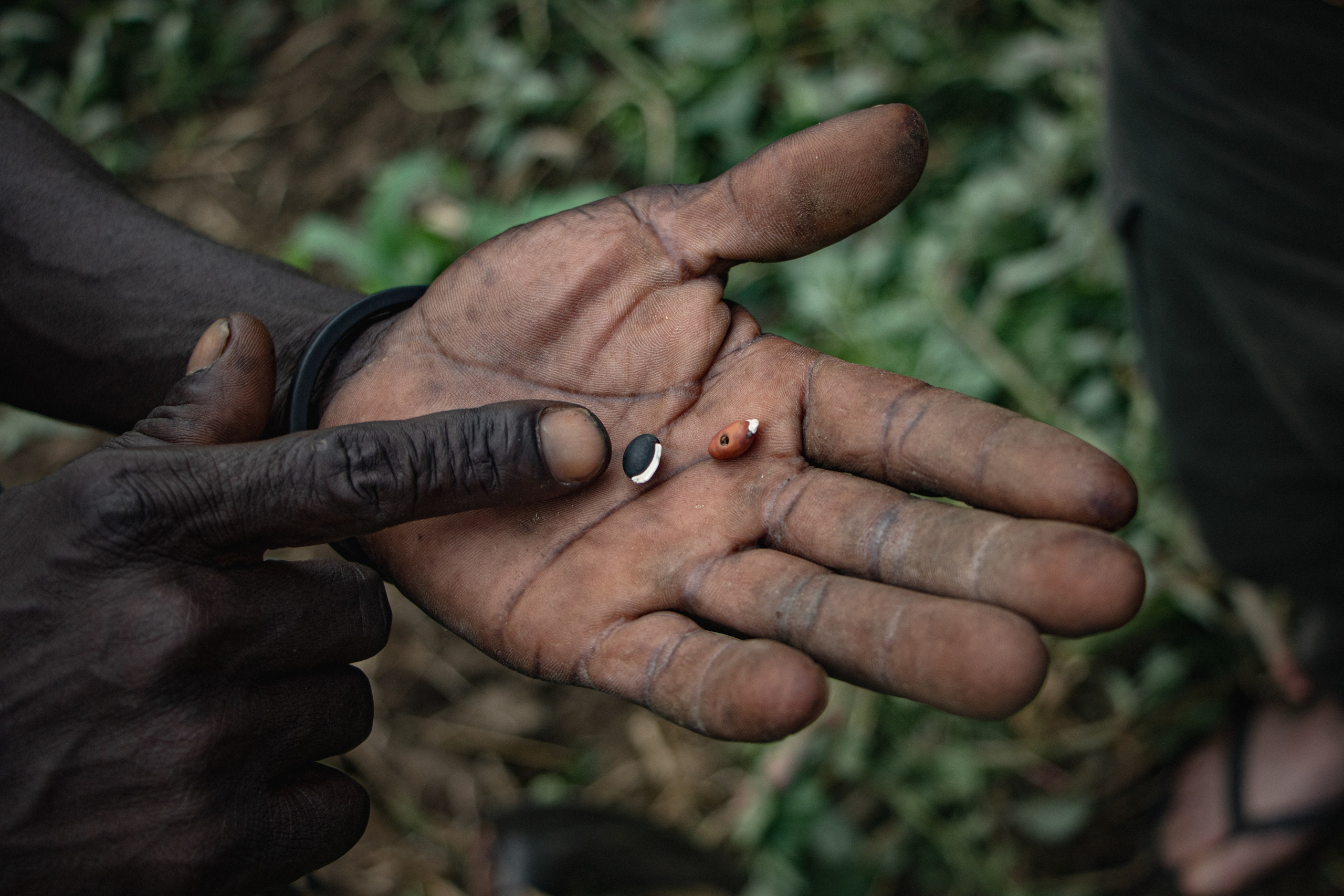 Mozambique. Photo reporter français basé à Paris