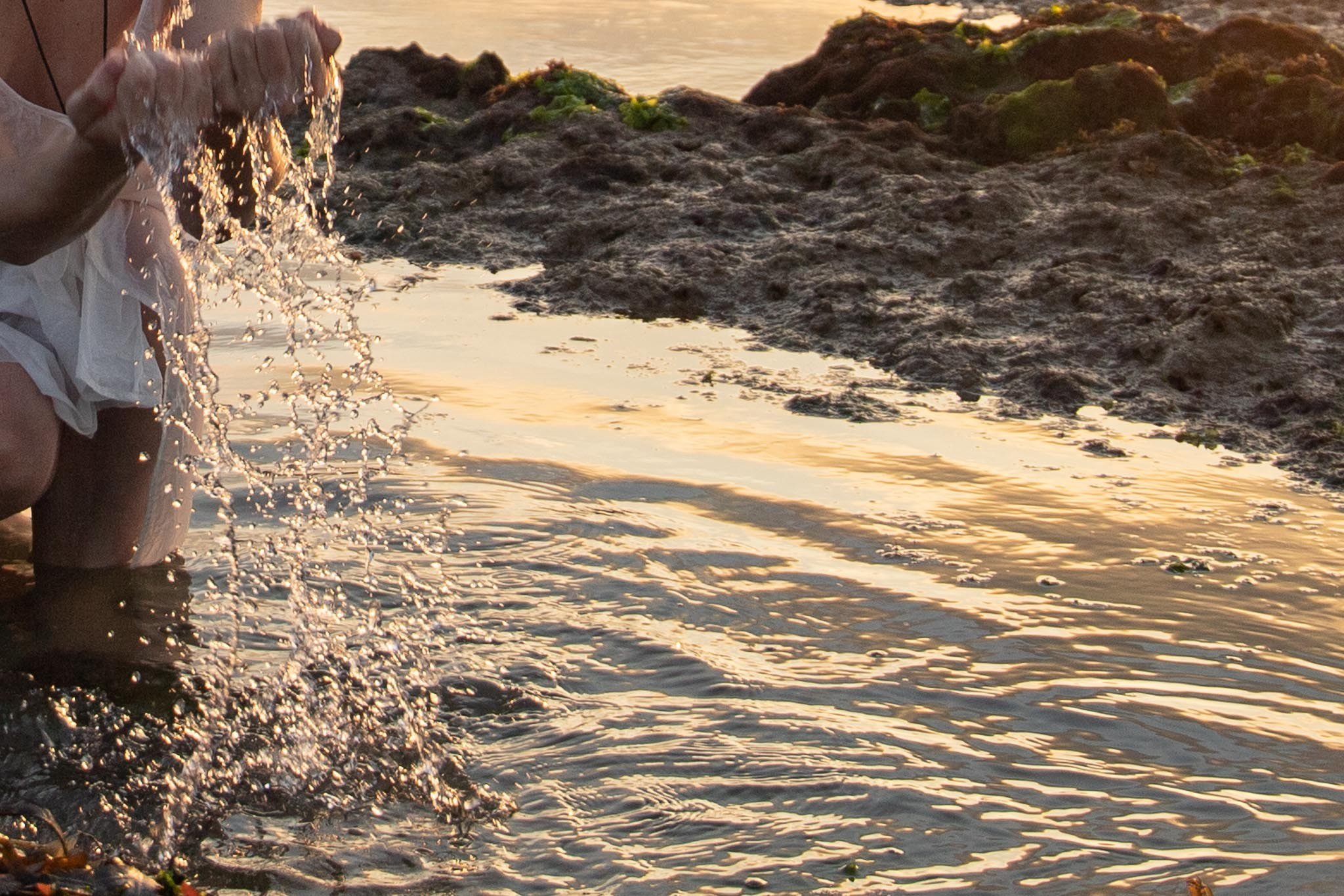 In Harmony with Nature. Natalja Poplavska — Visual artist, Photographer, East Sussex, London