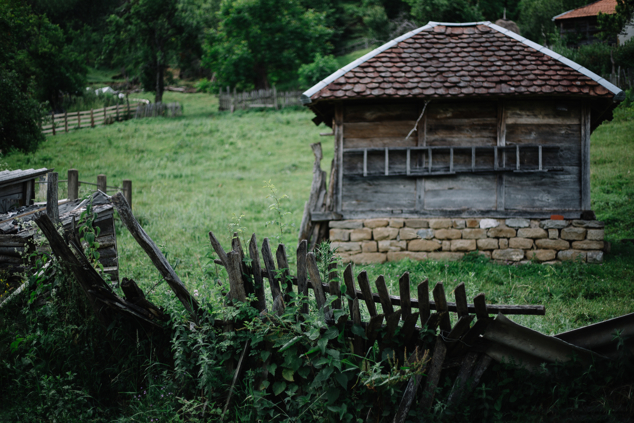 Potraga za svojim korenima. Mark Smilyanic | Portretni boudoir fotograf iz Beograda