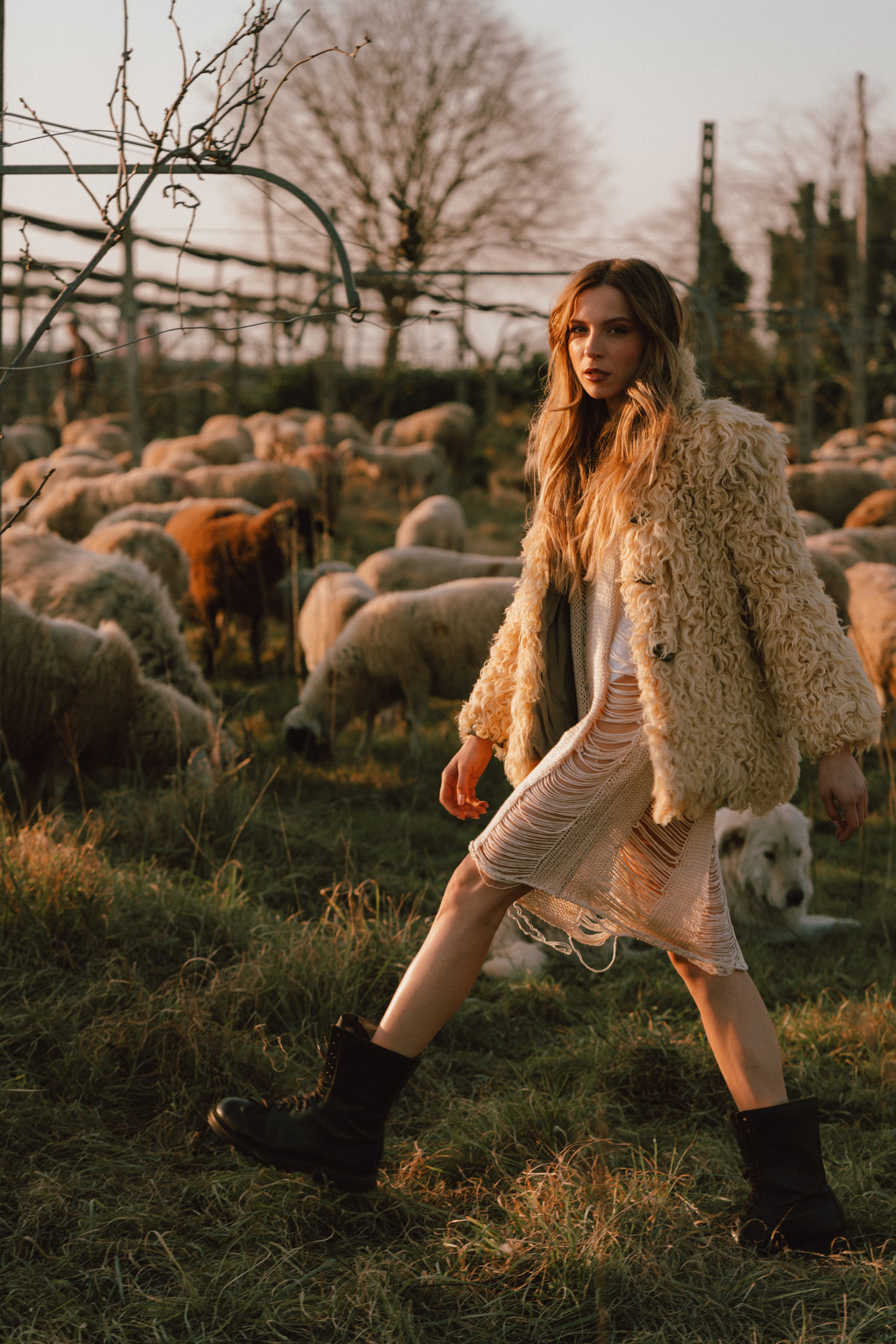 A thousand sheeps. Diana Fedrigo | Fotografa matrimoni in Italia