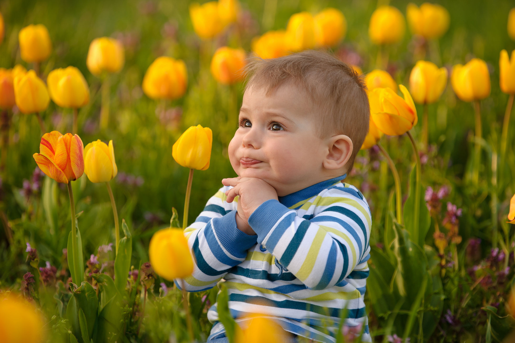 Весенняя Фотосессия Илюши в Тюльпанах. Семейный фотограф в Кишинёве THOMAS SHTIFT