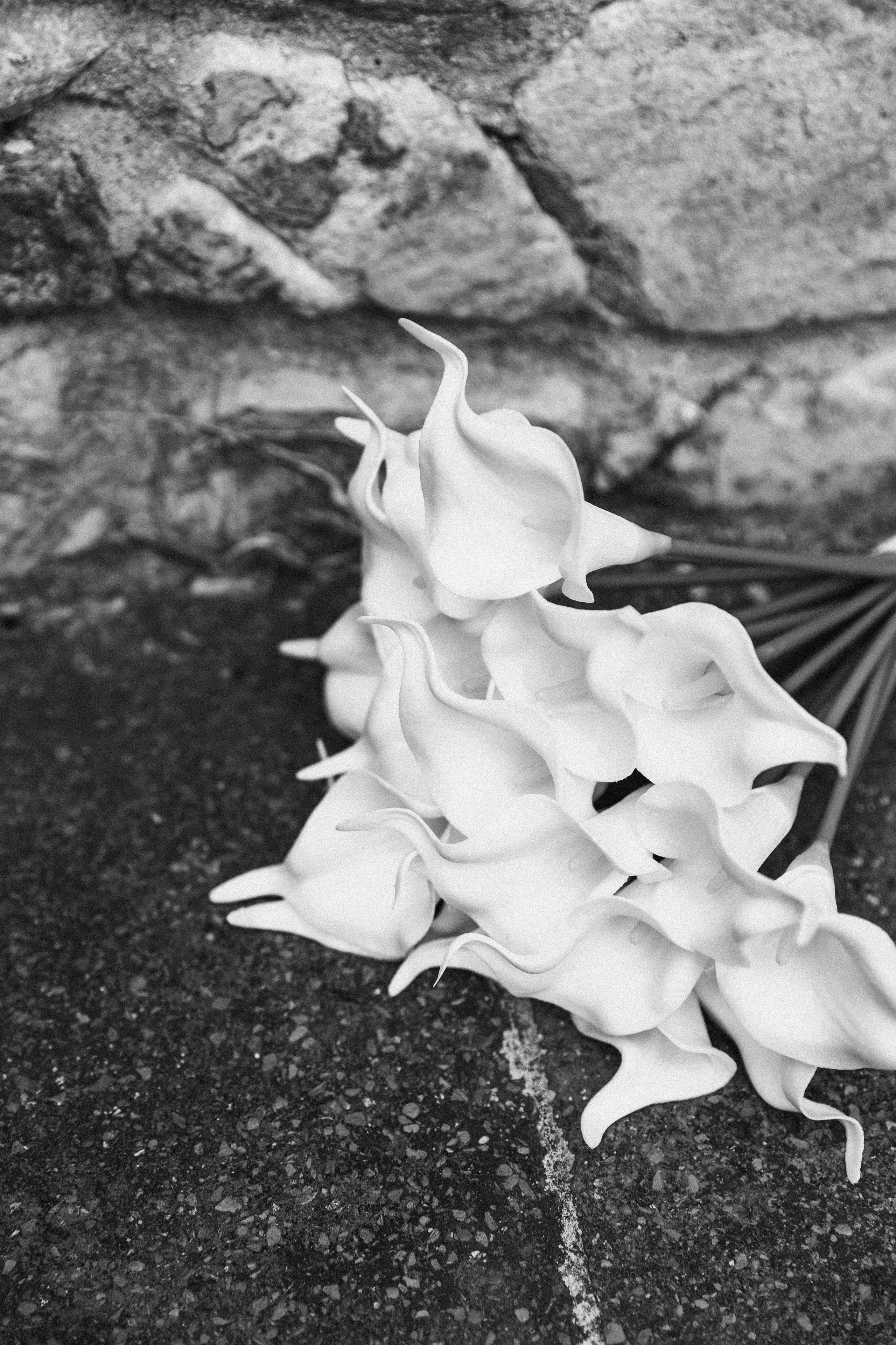 Wedding in Costa Brava. Wedding Photographer in Barcelona Lana Alekhina