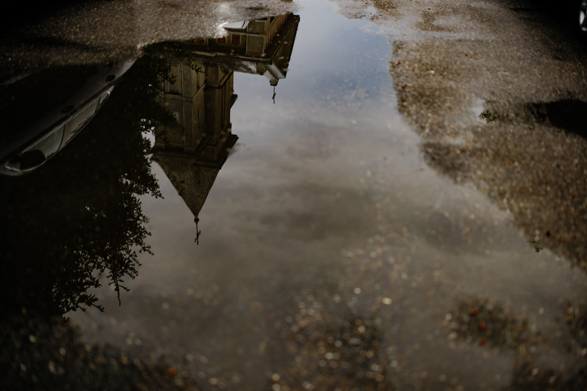 Andrei si Adelina. Fotograf și videograf de nuntă R. Moldova, Romania