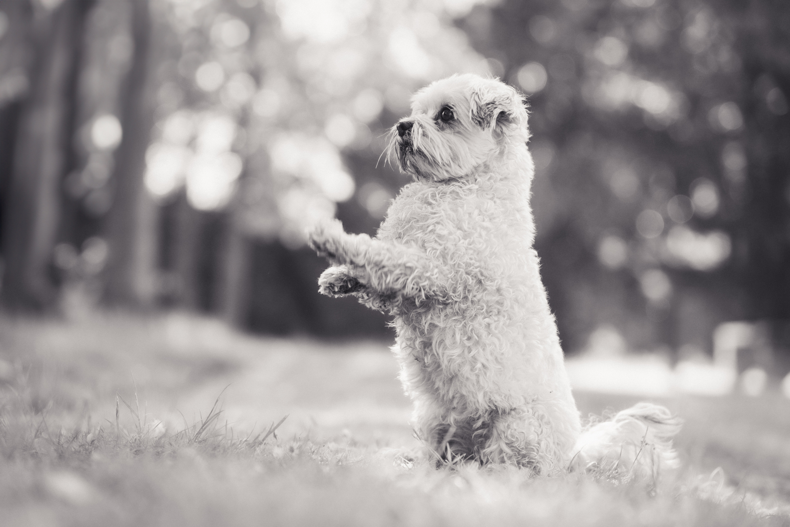 Leistungen. Thorben Ihler - Dein Fotograf aus Emden