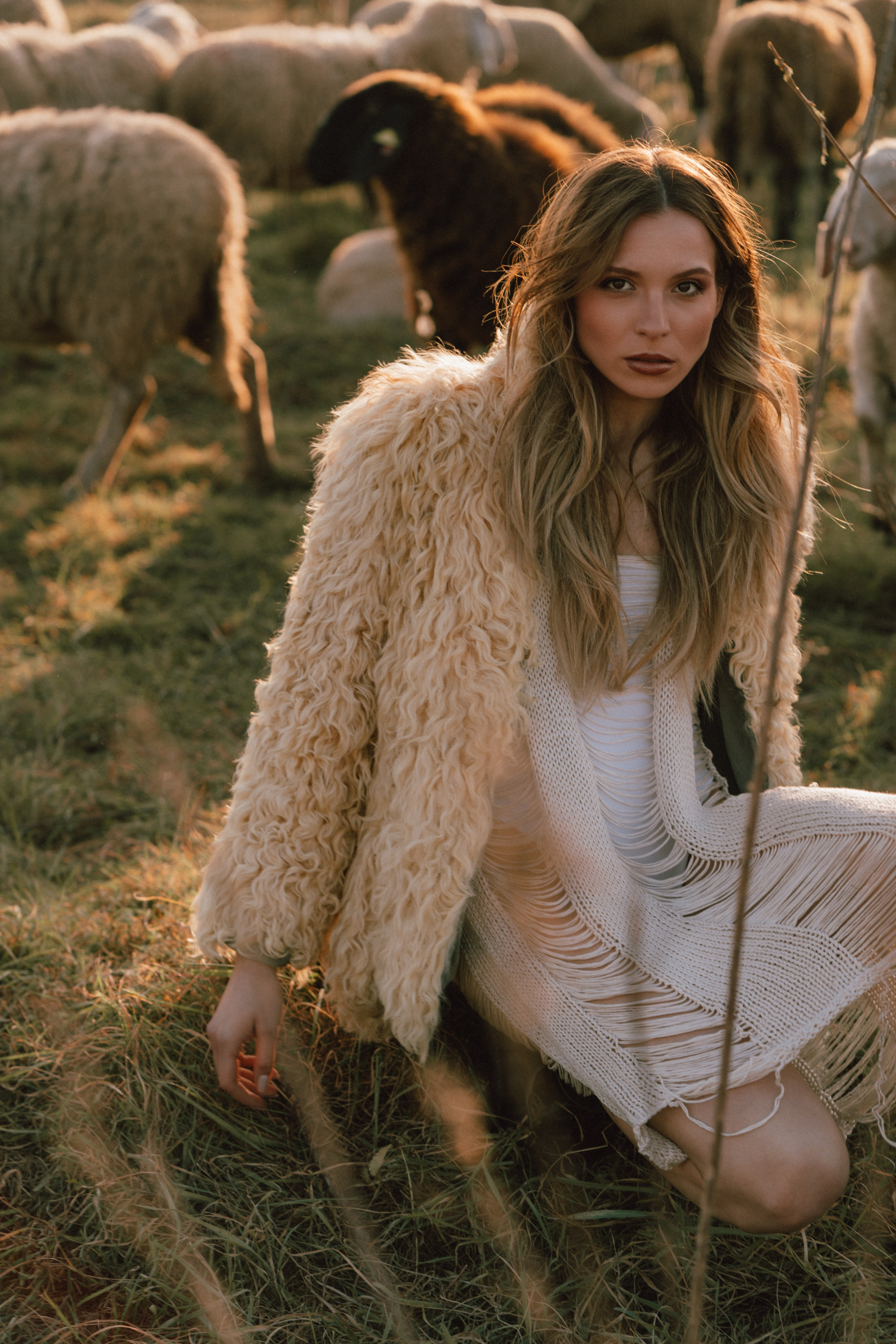 A thousand sheeps. Diana Fedrigo | Fotografa matrimoni in Italia