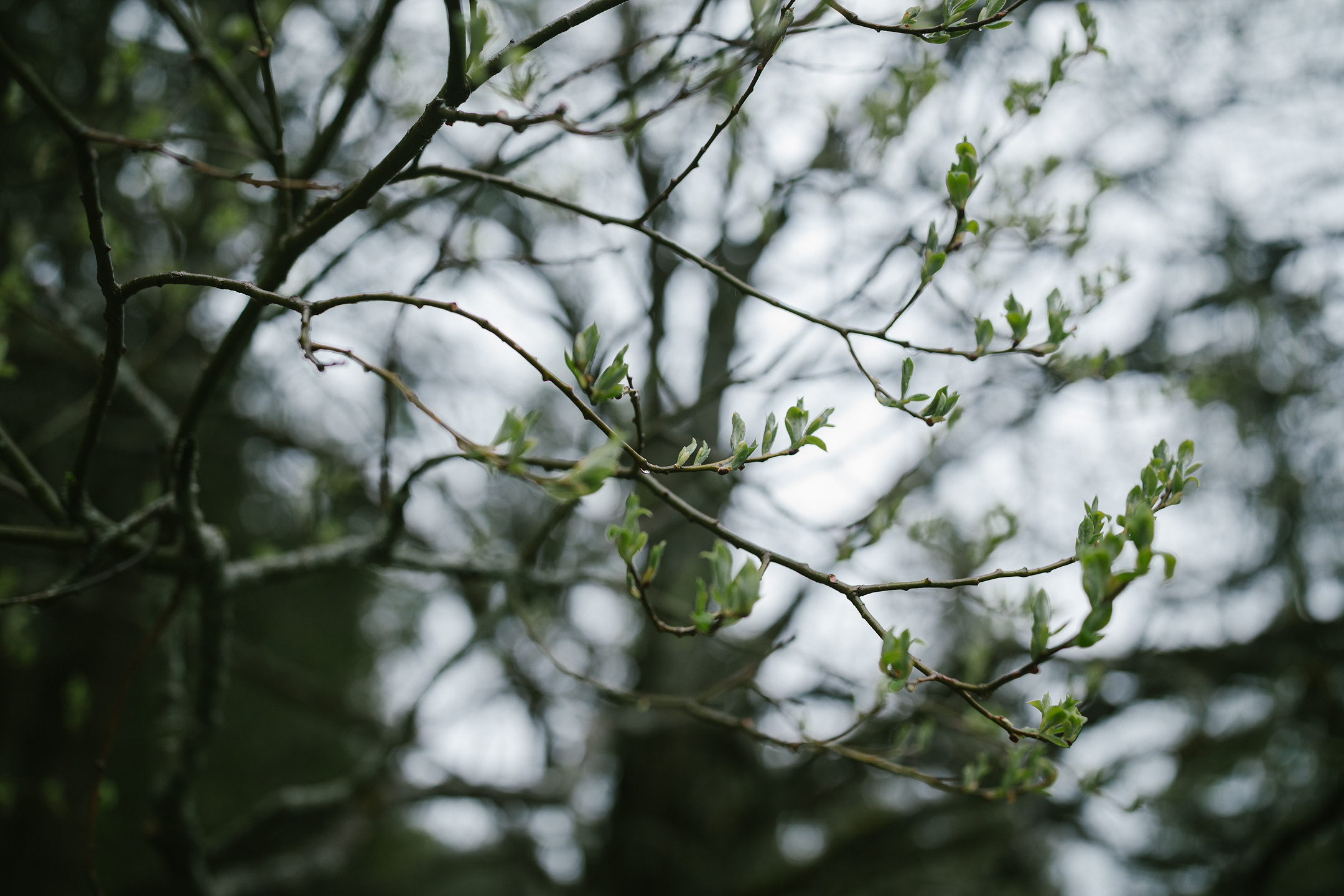 Hochzeitsfotografie Dolomiten | After Wedding Pragser Wildsee. Hochzeitsfotograf Bodensee & Allgäu | Liliana Berkut