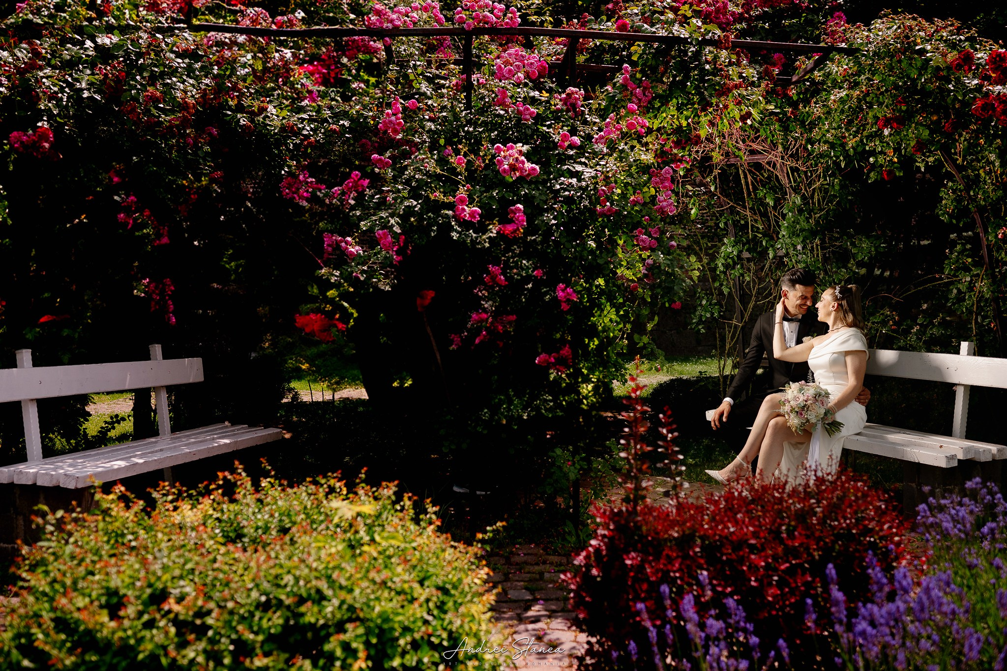 Edi & Oli. Andrei Stanea