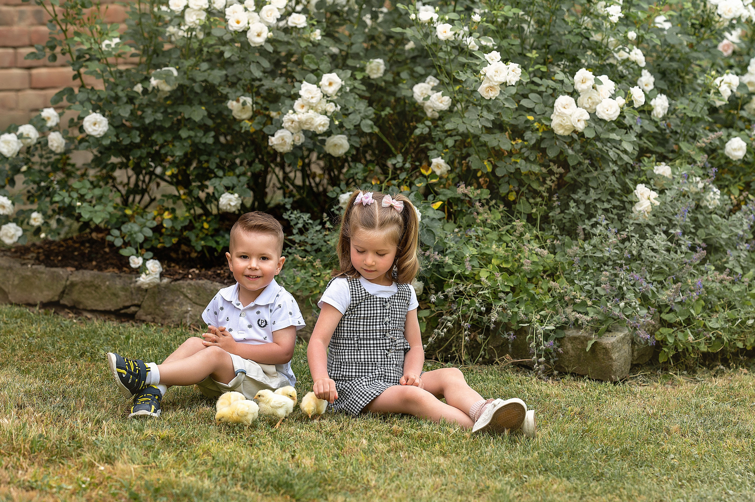 Fototag „Küken“. Newbornfotograf Kinderfotograf Ulm Familienfotograf Anastasia Neu-Ulm