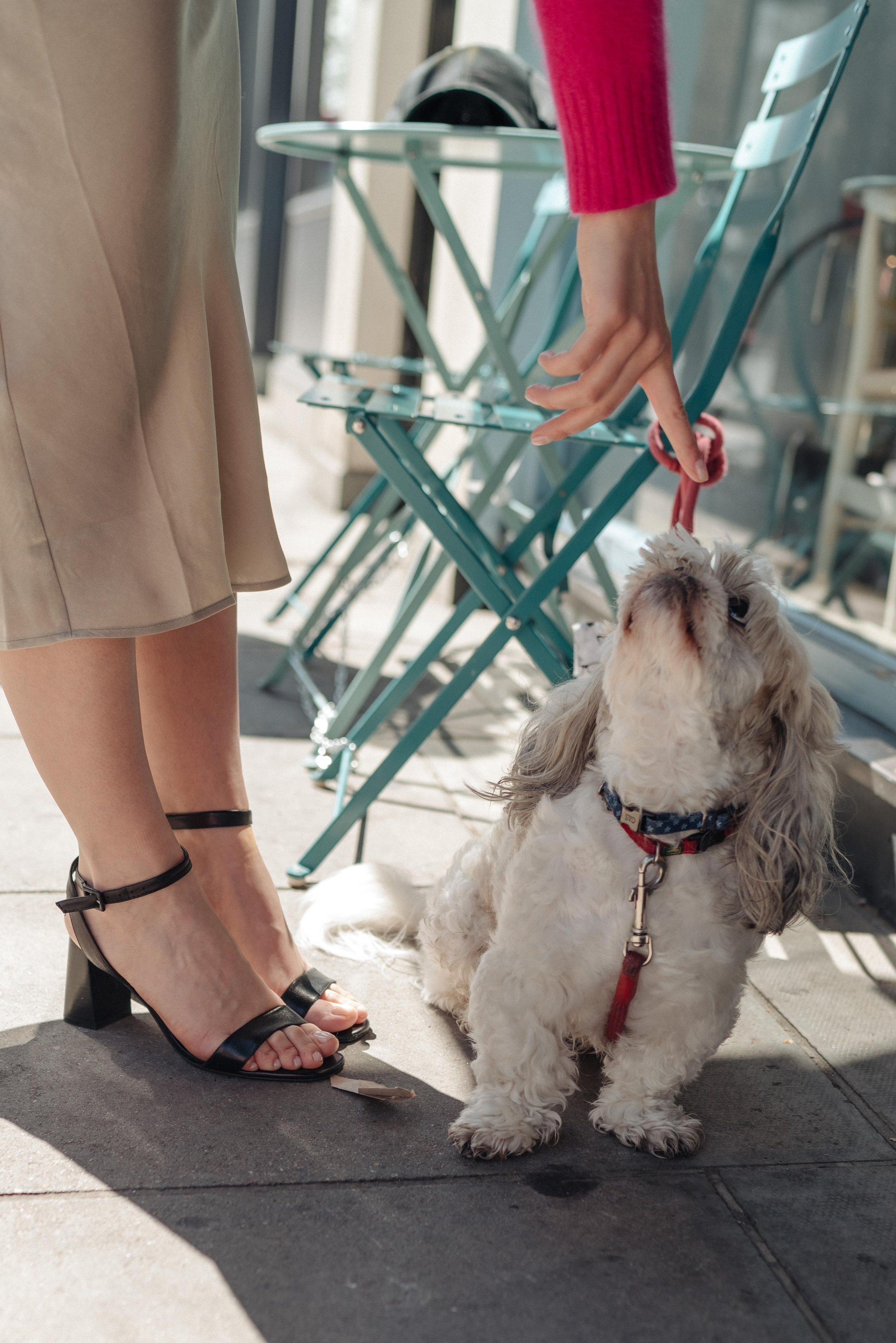 Street Style Photo session. London portrait and family photographer