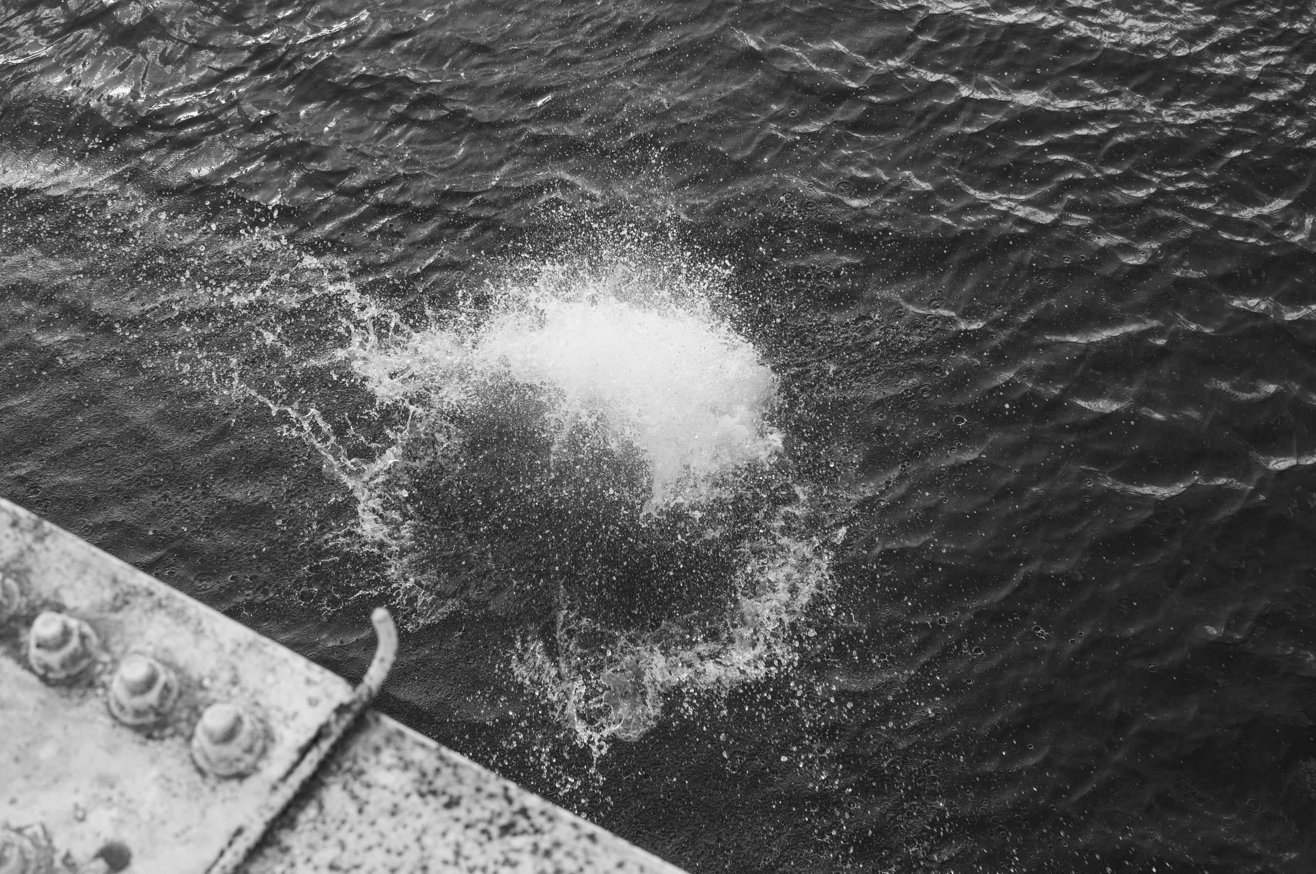 Under the Phasis' Sun. Mayya Kelova artist