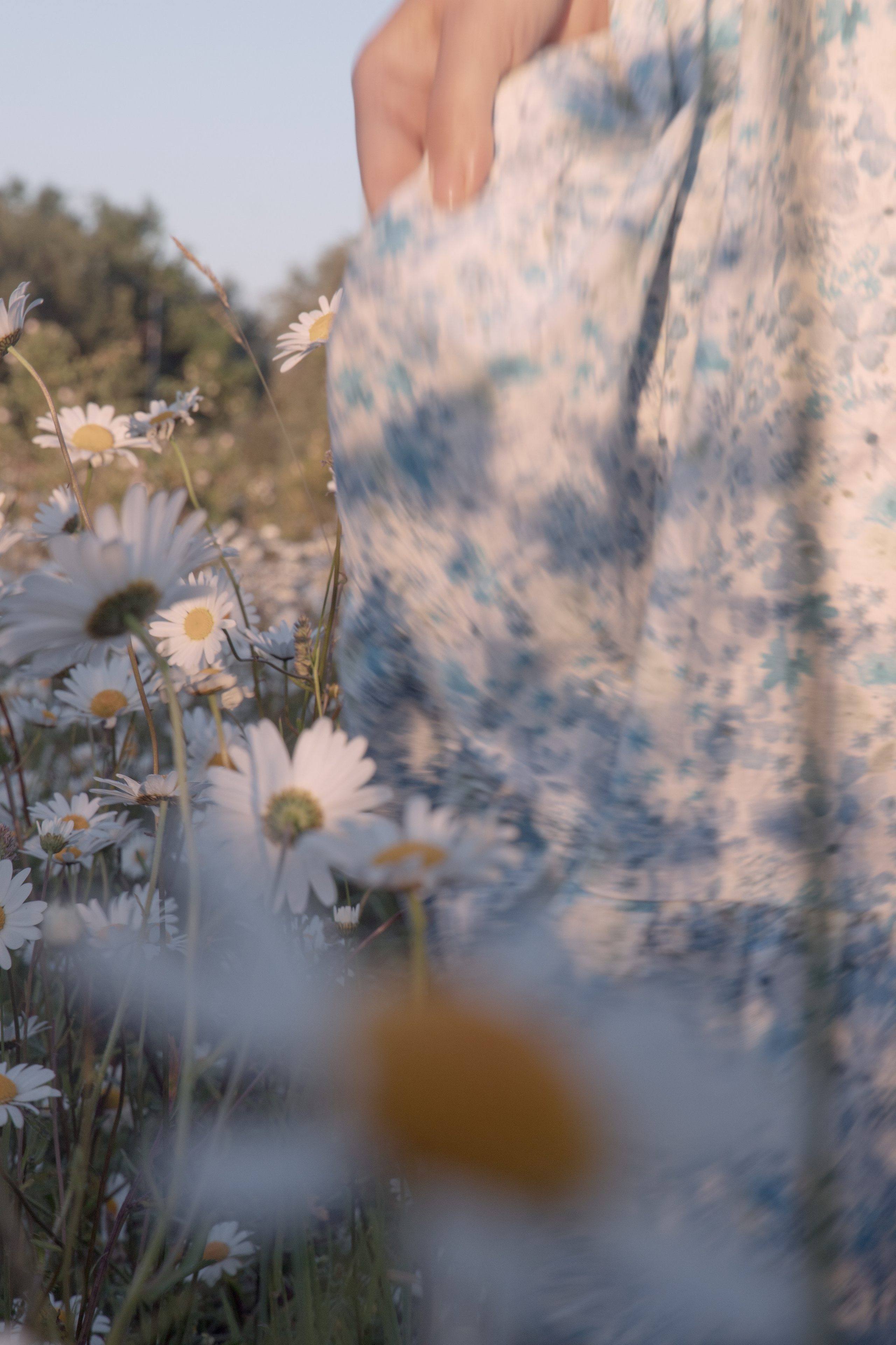 In Harmony with Nature. Natalja Poplavska — Visual artist, Photographer, East Sussex, London