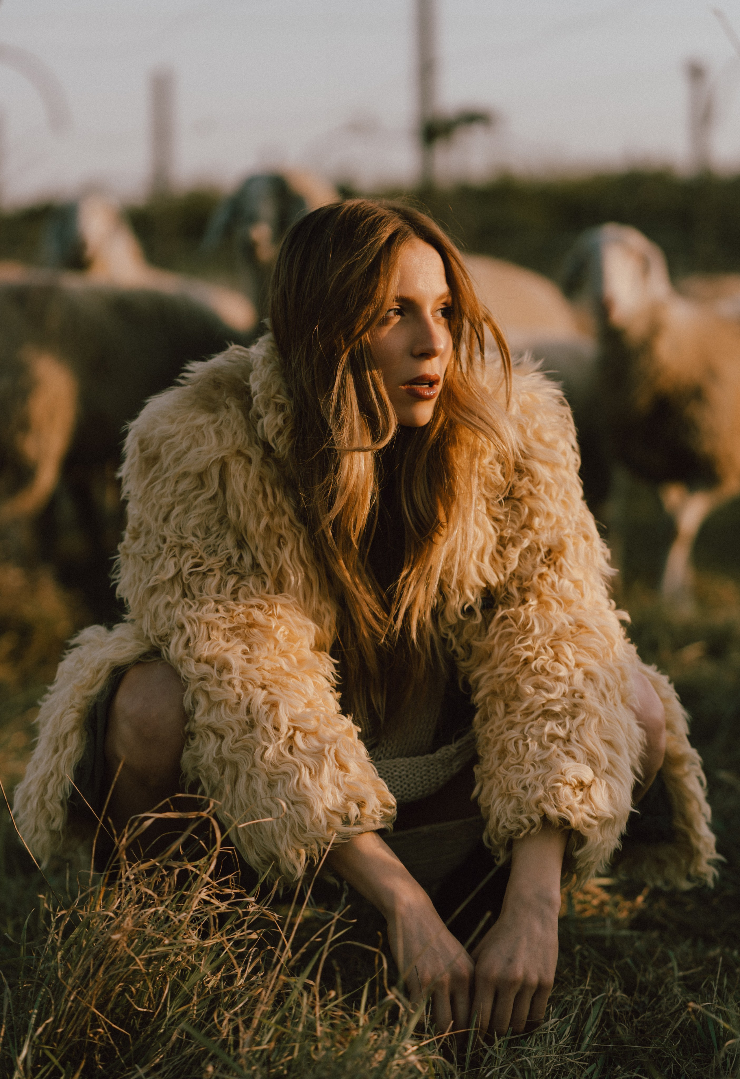 A thousand sheeps. Diana Fedrigo | Fotografa matrimoni in Italia