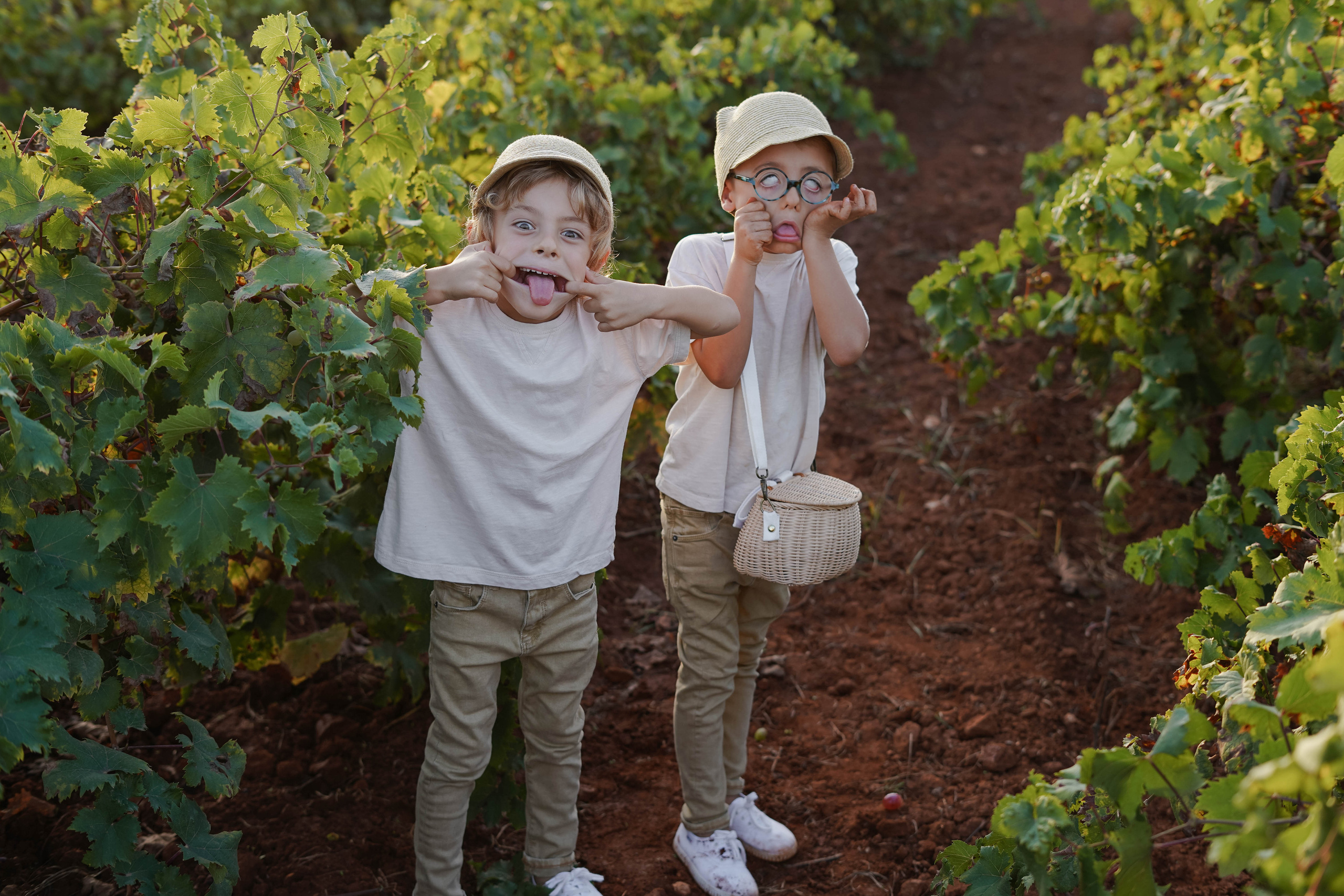 Семейная фотосессия в виноградниках Испания. Индивидуальный, семейный, свадебный фотограф Бенидорм Диана Меметова