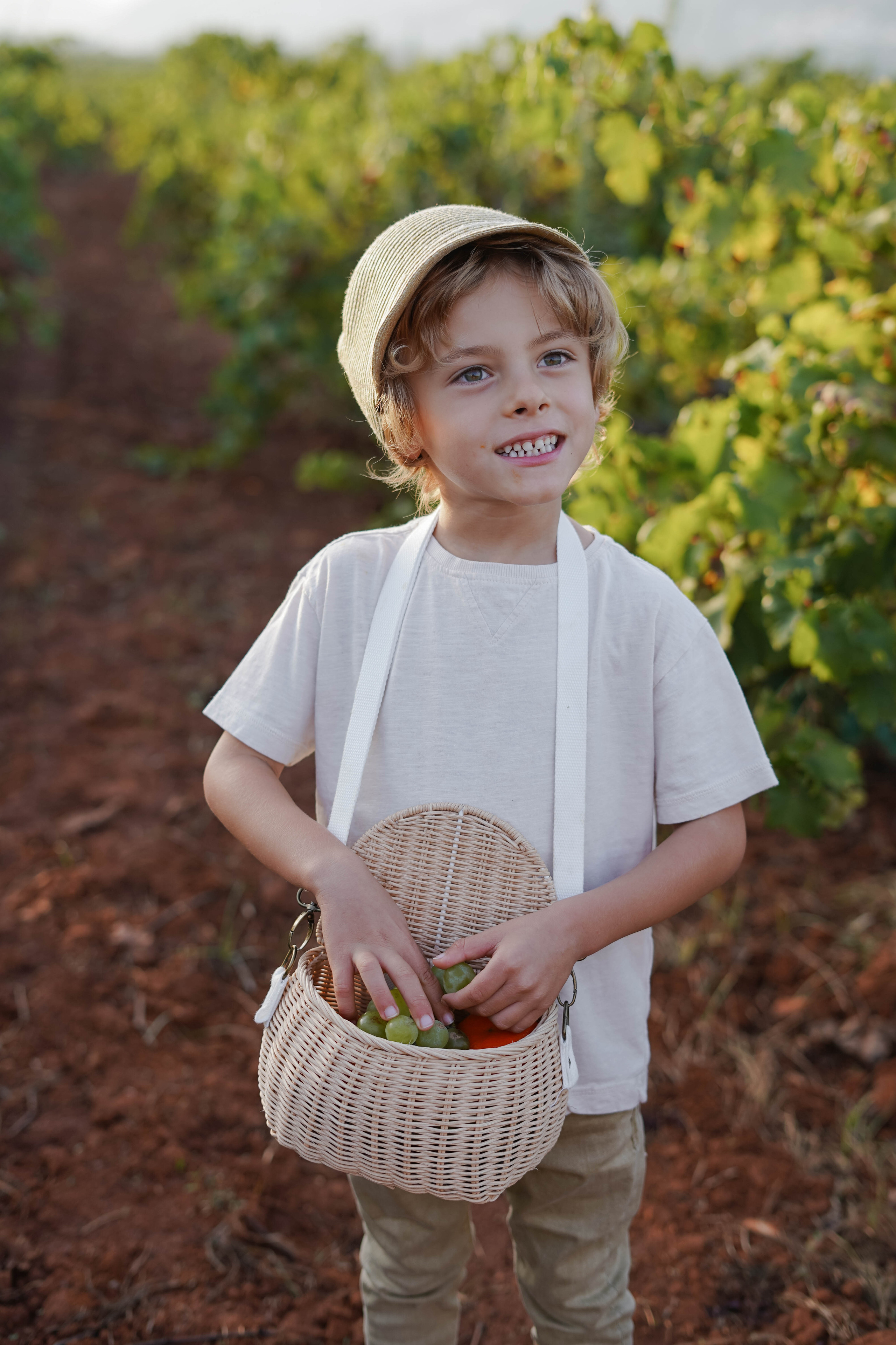 Семейная фотосессия в виноградниках Испания. Индивидуальный, семейный, свадебный фотограф Бенидорм Диана Меметова