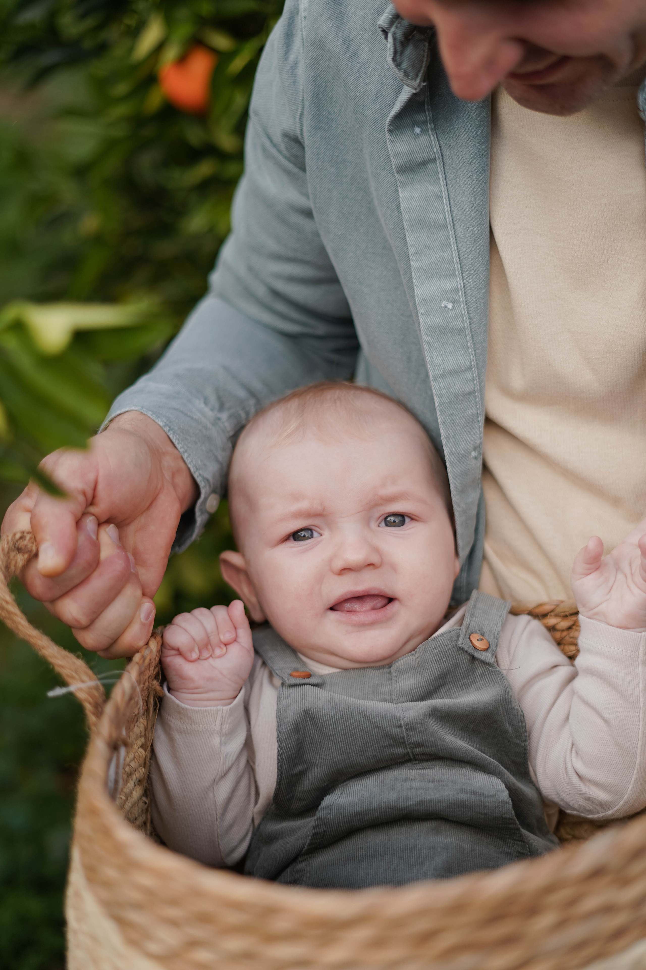 Семейная в апельсиновом саду. Индивидуальный, семейный, свадебный фотограф Бенидорм Диана Меметова